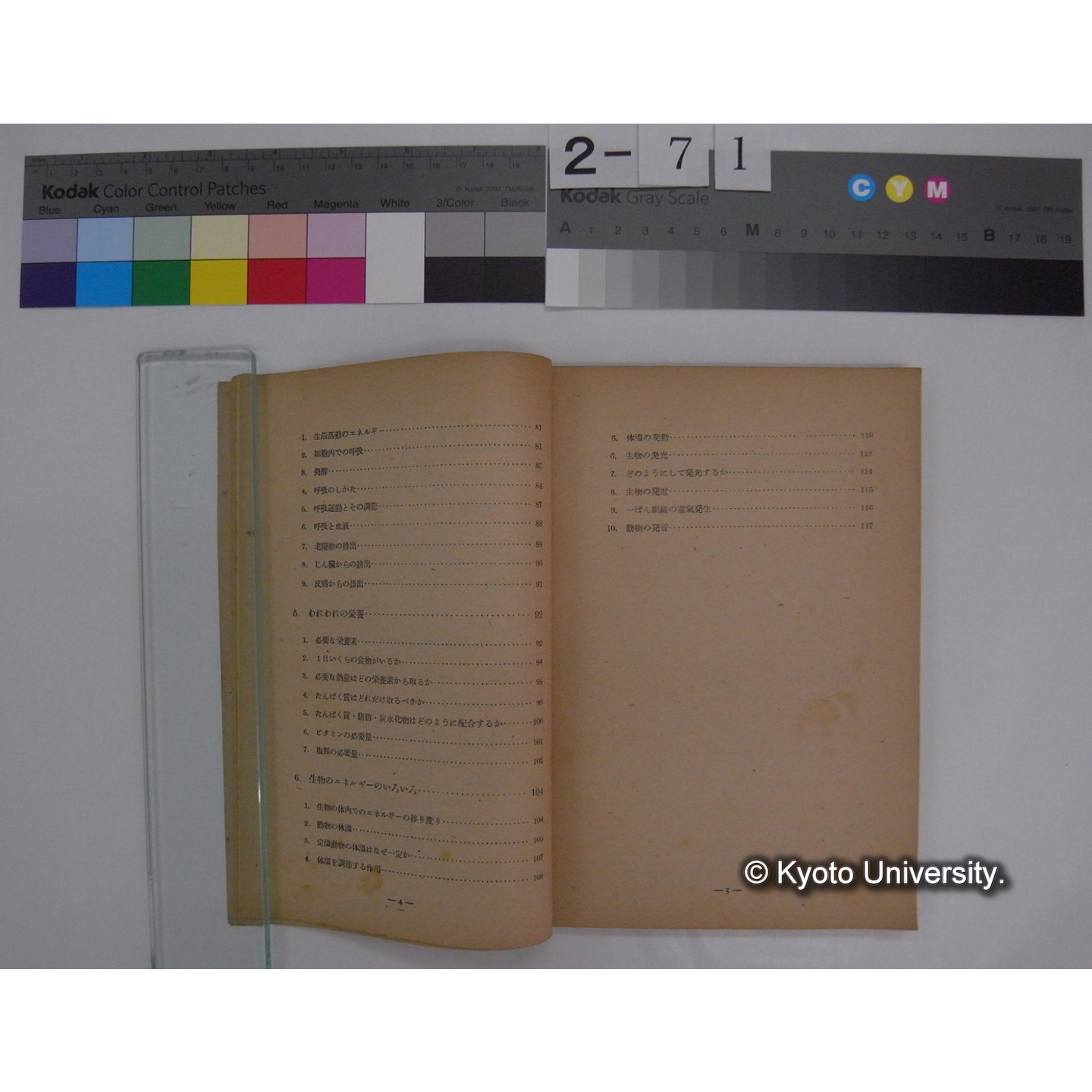 生物の科学 2 : 高等学校用生物教科書 / 文部省 (5)