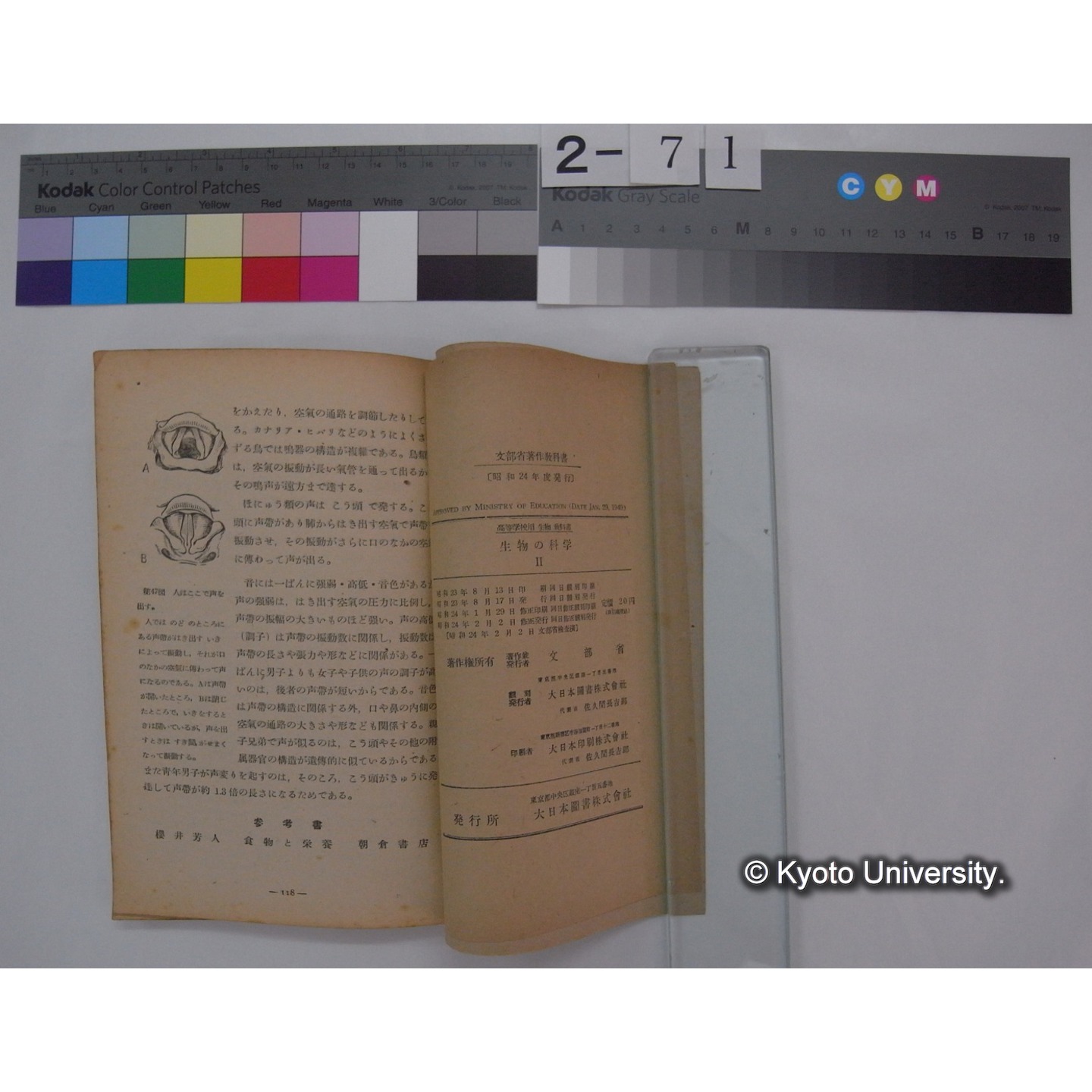 生物の科学 2 : 高等学校用生物教科書 / 文部省 (6)