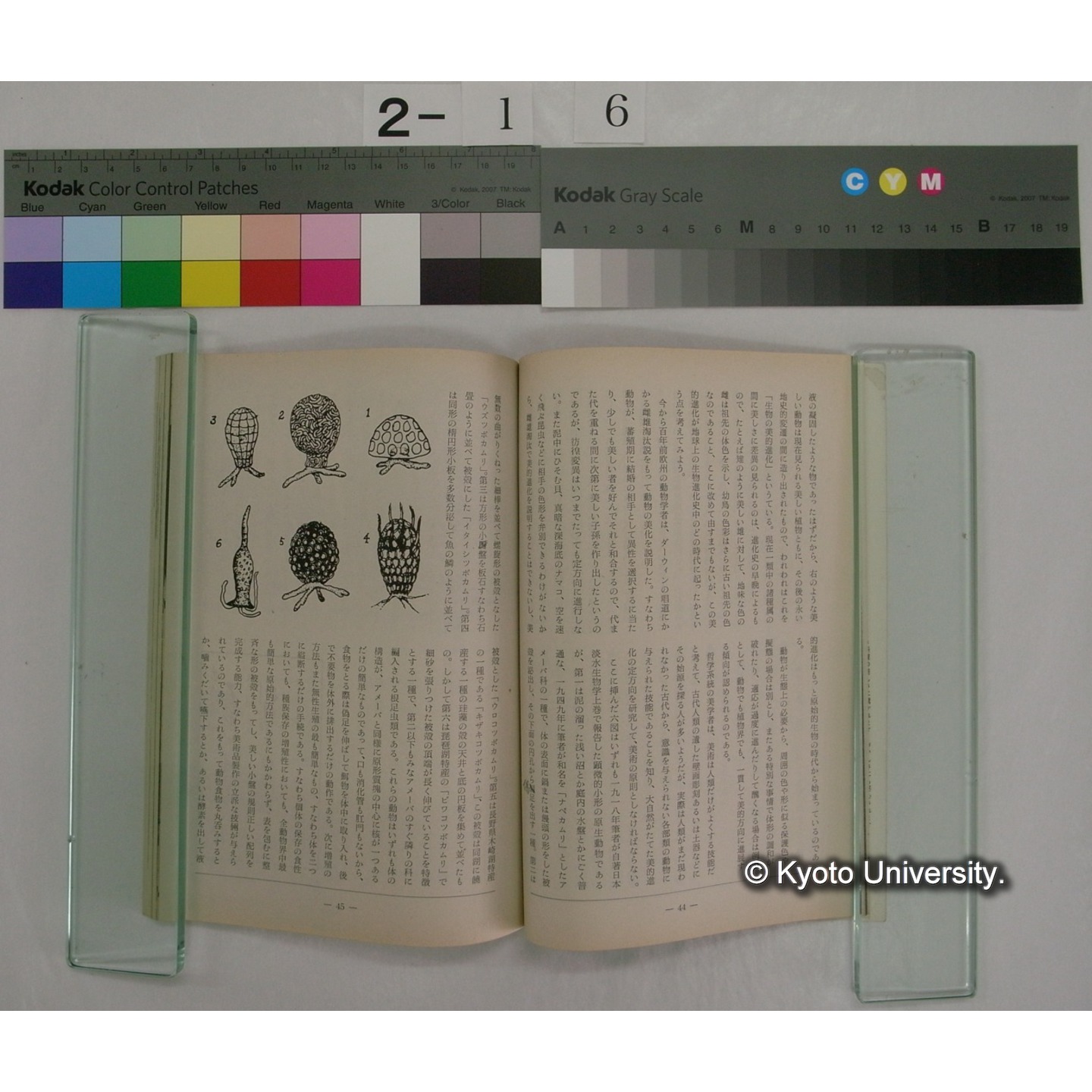 淡交 17巻5号(昭和38.5) / 淡交社 (4)