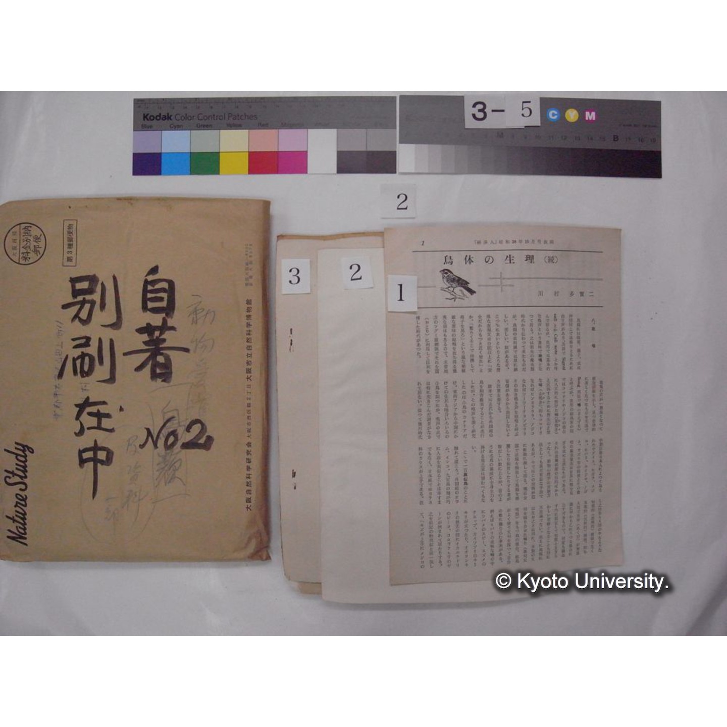 別刷・抜刷等 (「自著No.2/別刷在中」) (4)