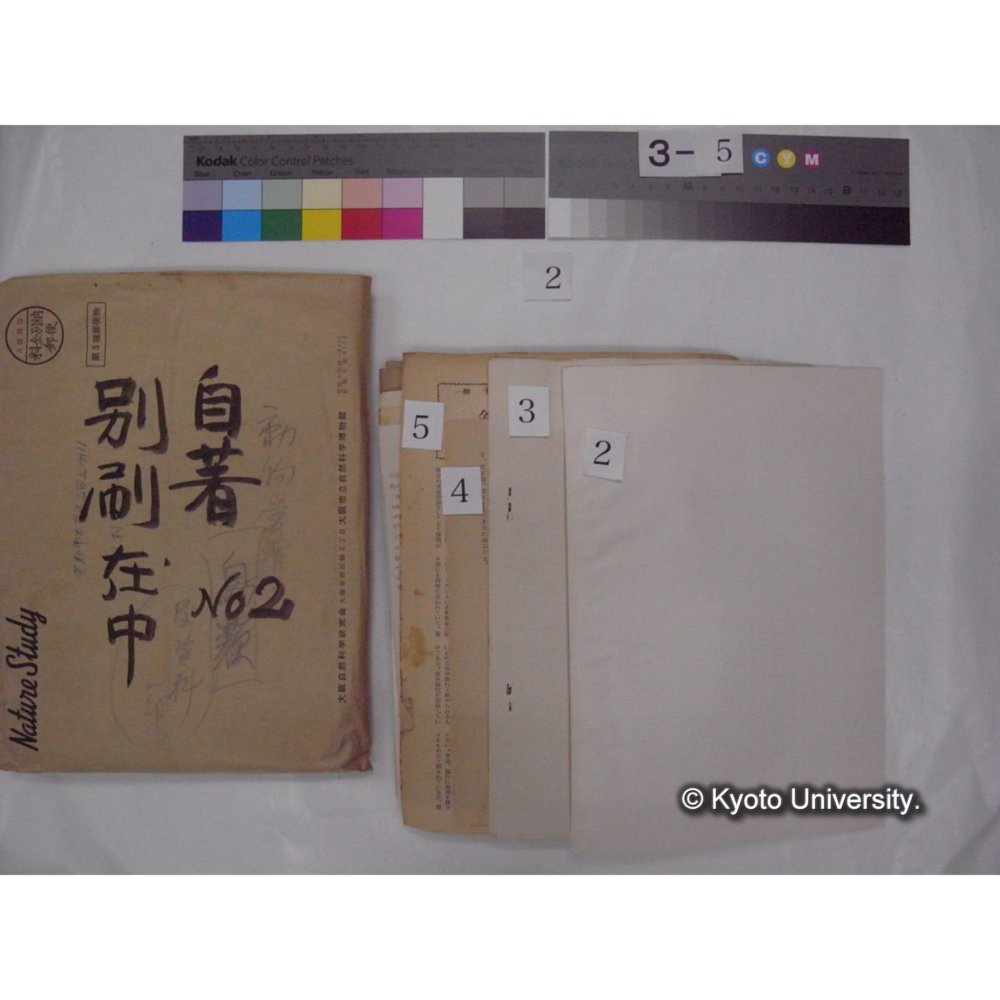 別刷・抜刷等 (「自著No.2/別刷在中」) (5)