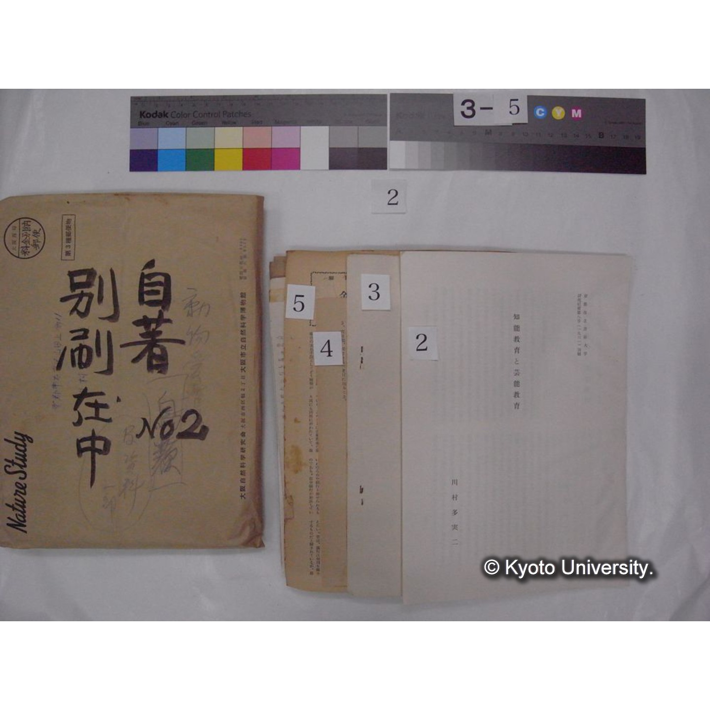 別刷・抜刷等 (「自著No.2/別刷在中」) (6)