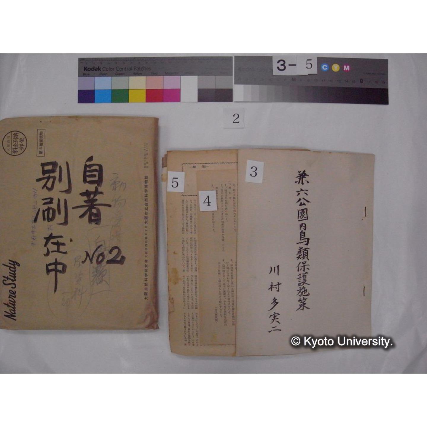 別刷・抜刷等 (「自著No.2/別刷在中」) (8)