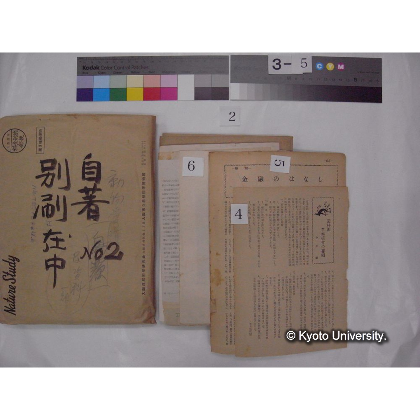 別刷・抜刷等 (「自著No.2/別刷在中」) (9)