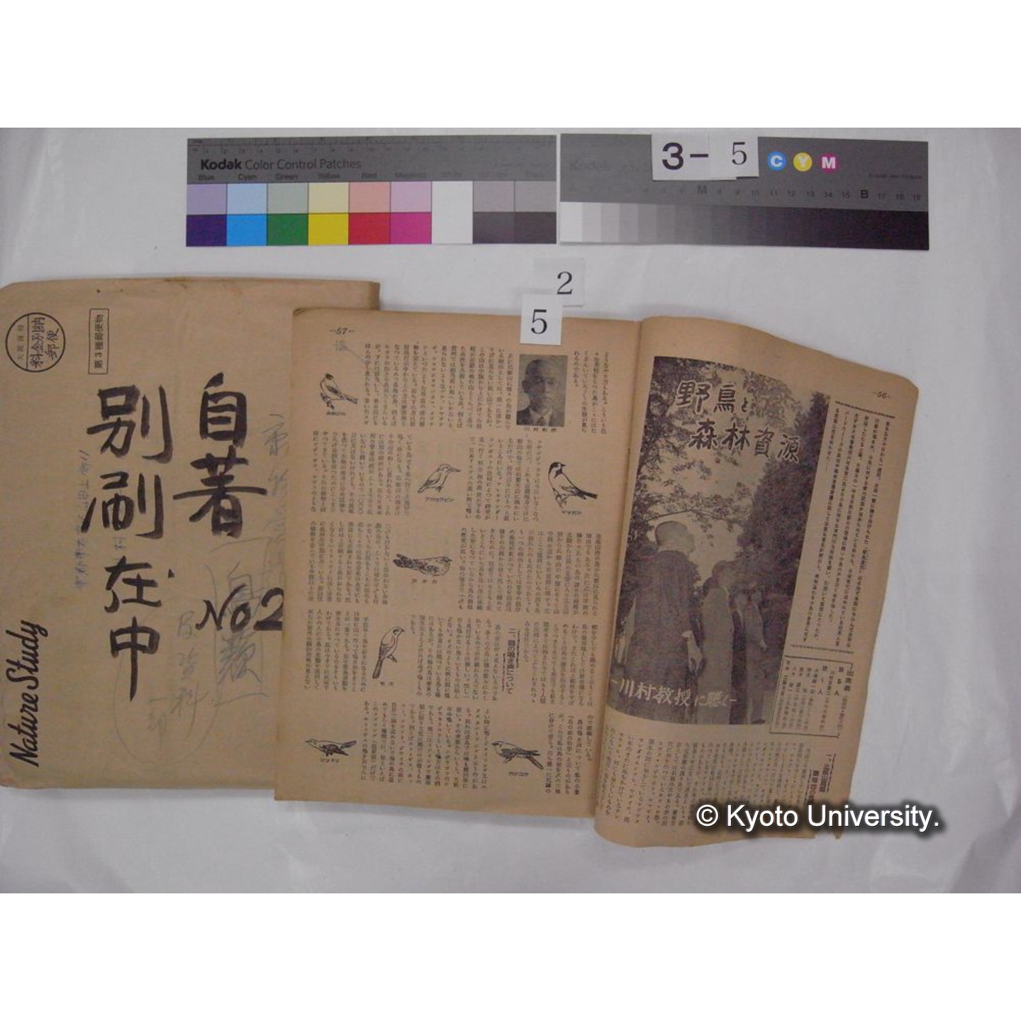 別刷・抜刷等 (「自著No.2/別刷在中」) (11)