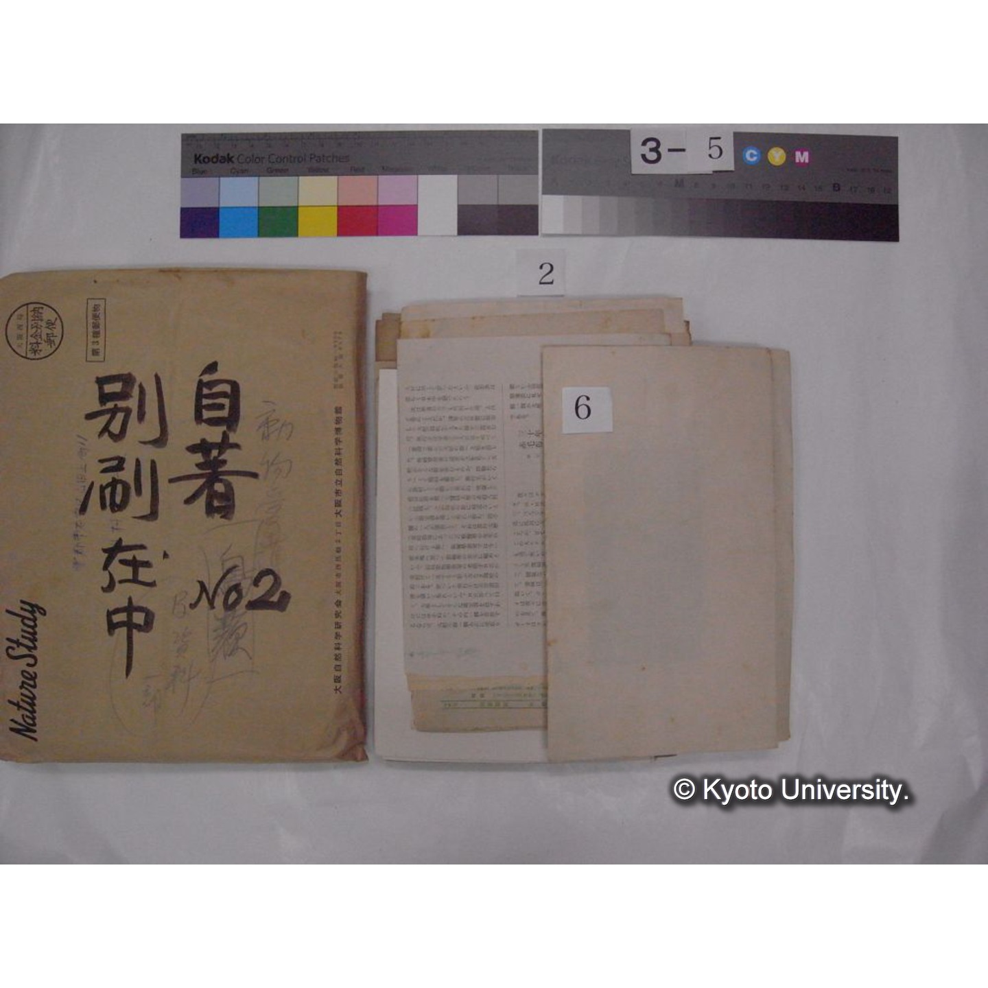 別刷・抜刷等 (「自著No.2/別刷在中」) (12)