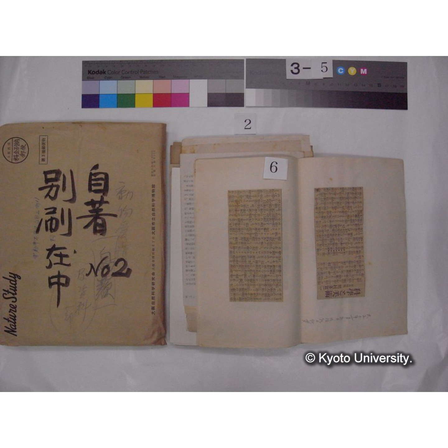 別刷・抜刷等 (「自著No.2/別刷在中」) (13)