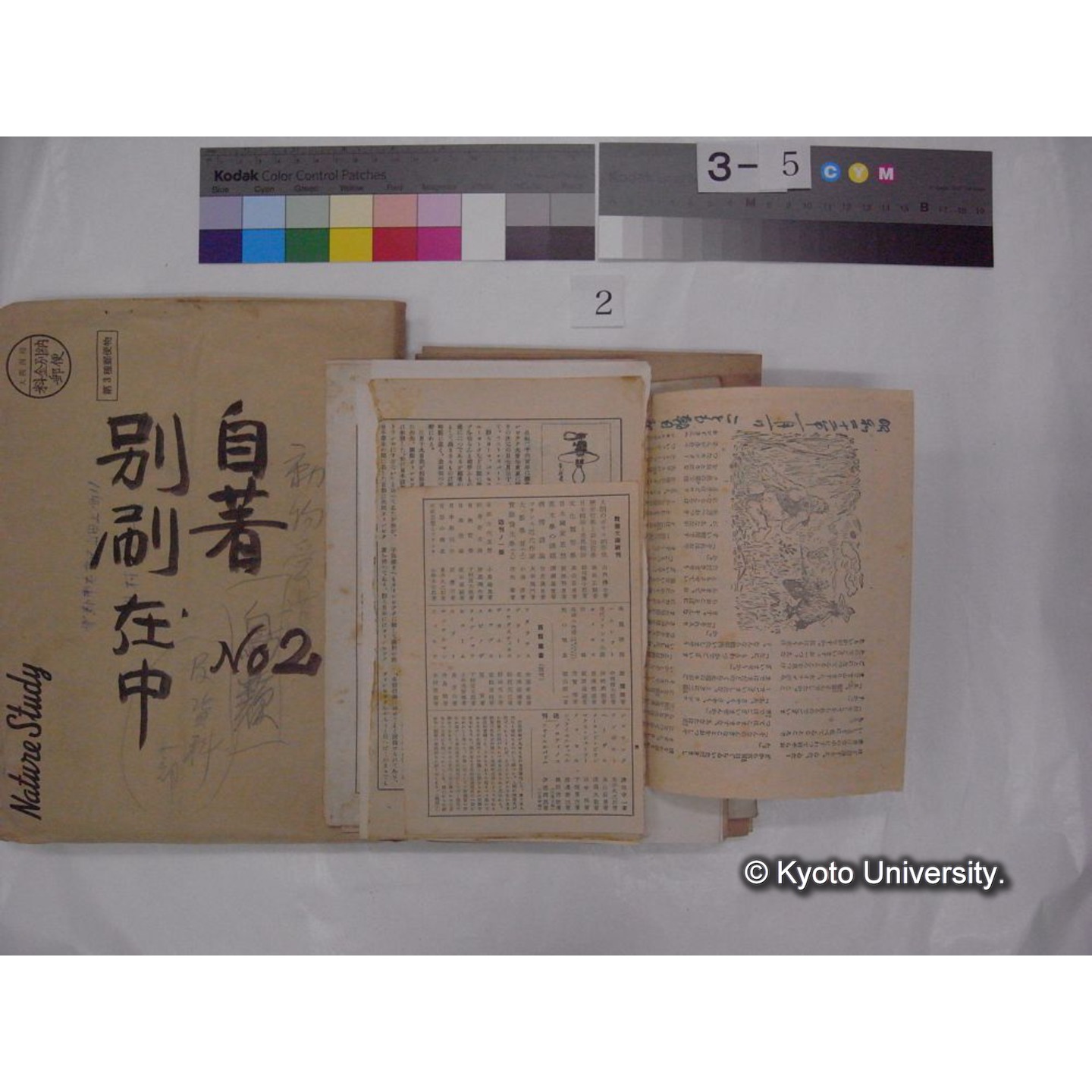 別刷・抜刷等 (「自著No.2/別刷在中」) (15)