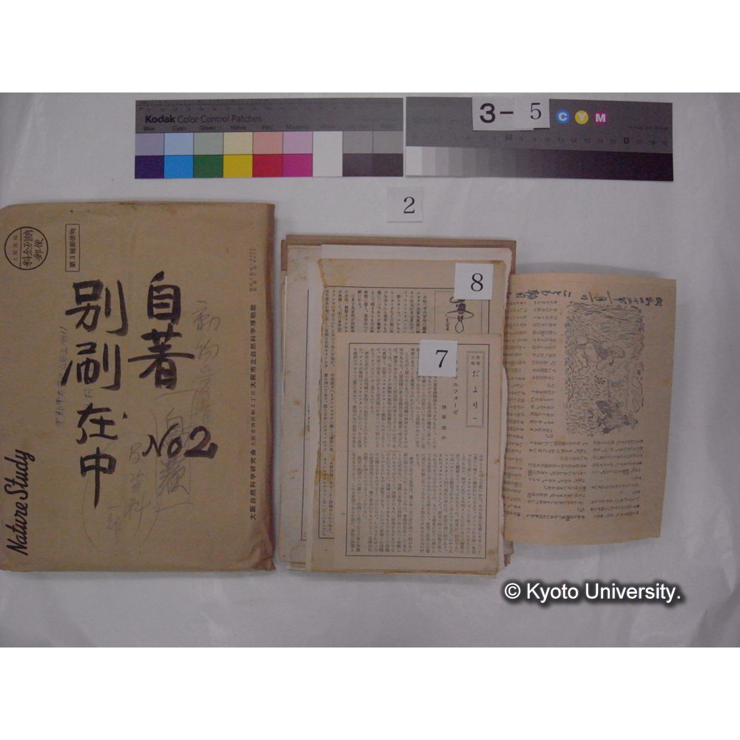 別刷・抜刷等 (「自著No.2/別刷在中」) (16)