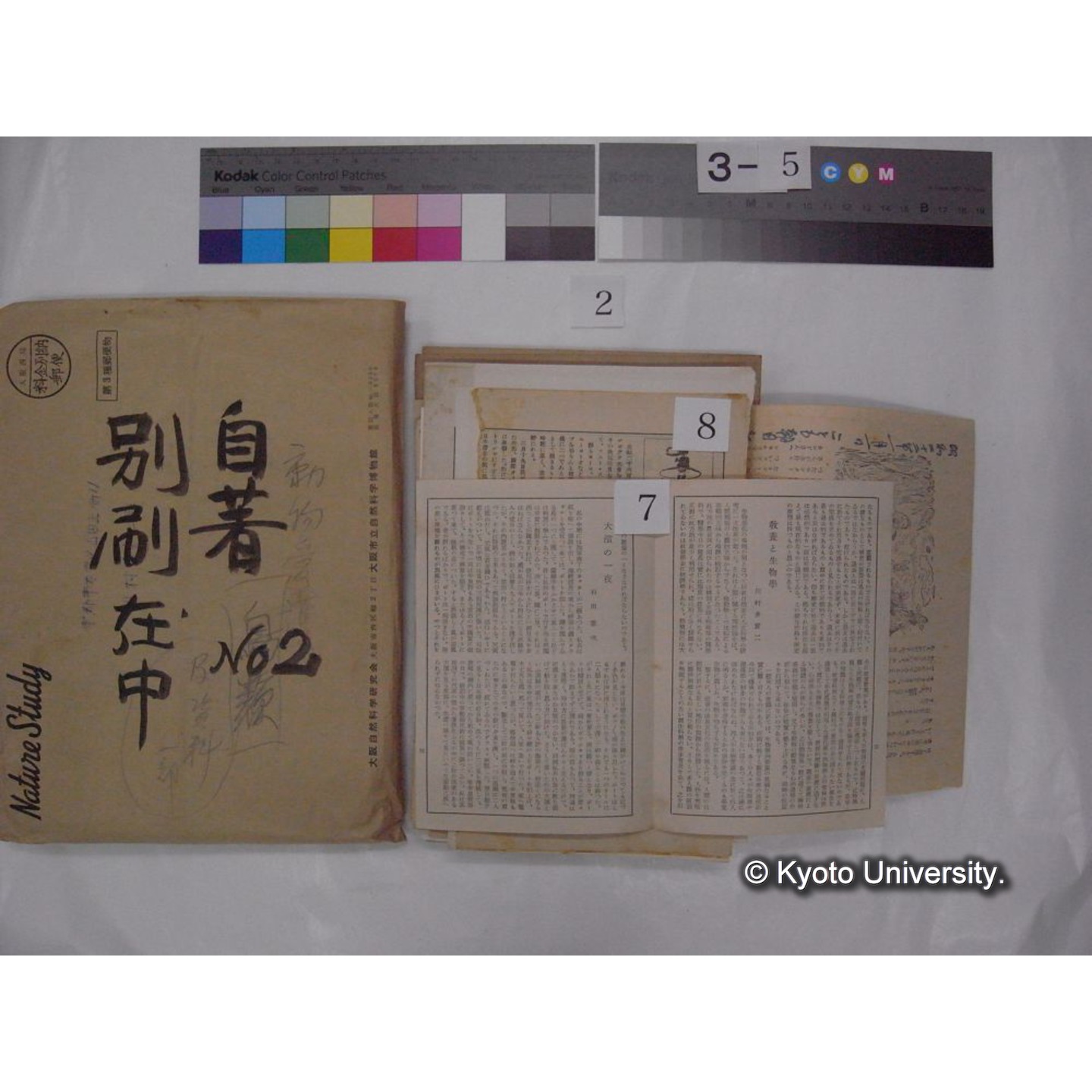 別刷・抜刷等 (「自著No.2/別刷在中」) (17)