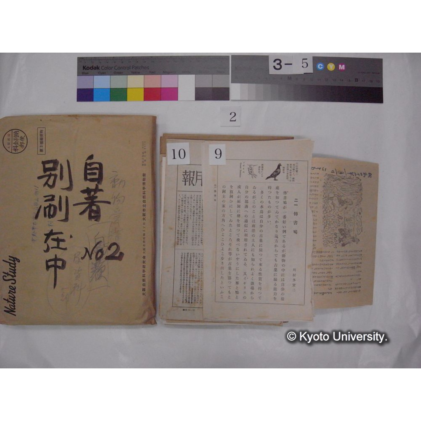 別刷・抜刷等 (「自著No.2/別刷在中」) (20)