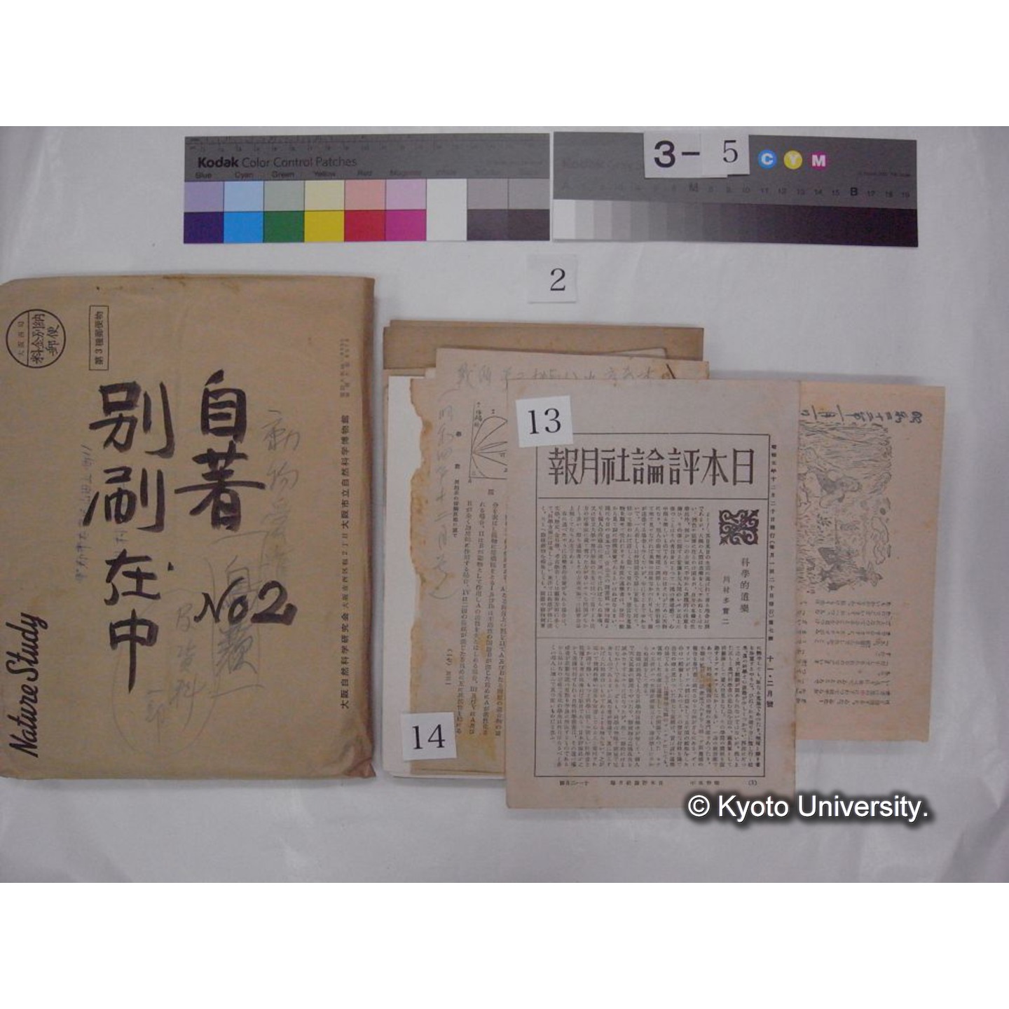 別刷・抜刷等 (「自著No.2/別刷在中」) (25)