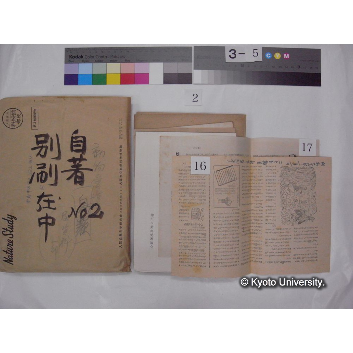 別刷・抜刷等 (「自著No.2/別刷在中」) (29)