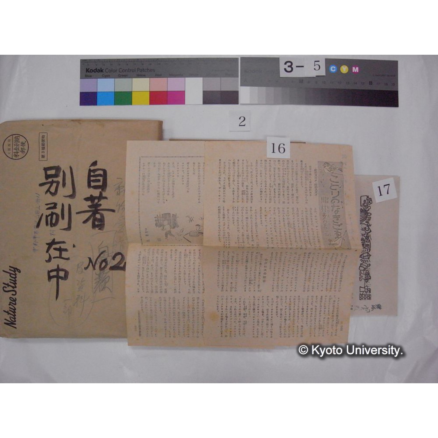 別刷・抜刷等 (「自著No.2/別刷在中」) (30)