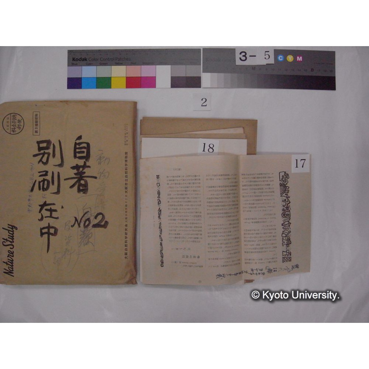 別刷・抜刷等 (「自著No.2/別刷在中」) (31)