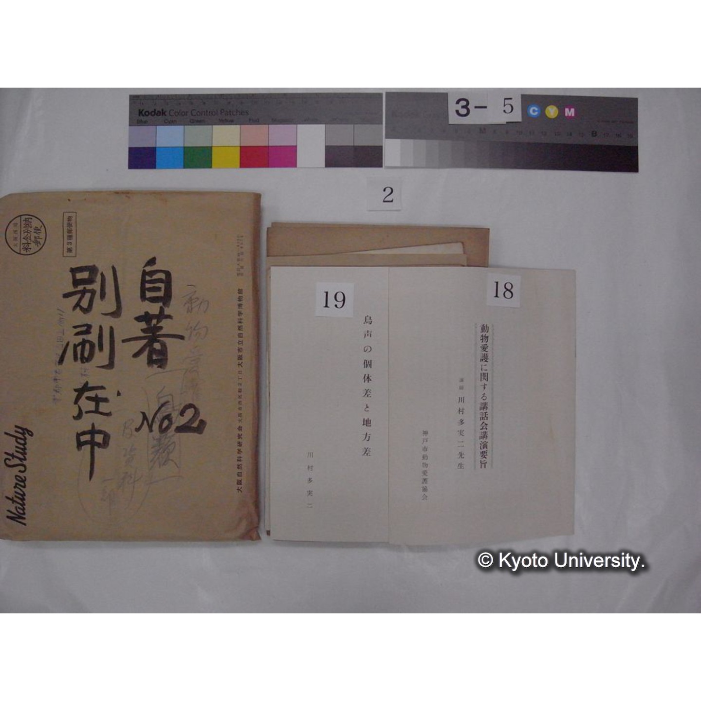 別刷・抜刷等 (「自著No.2/別刷在中」) (32)