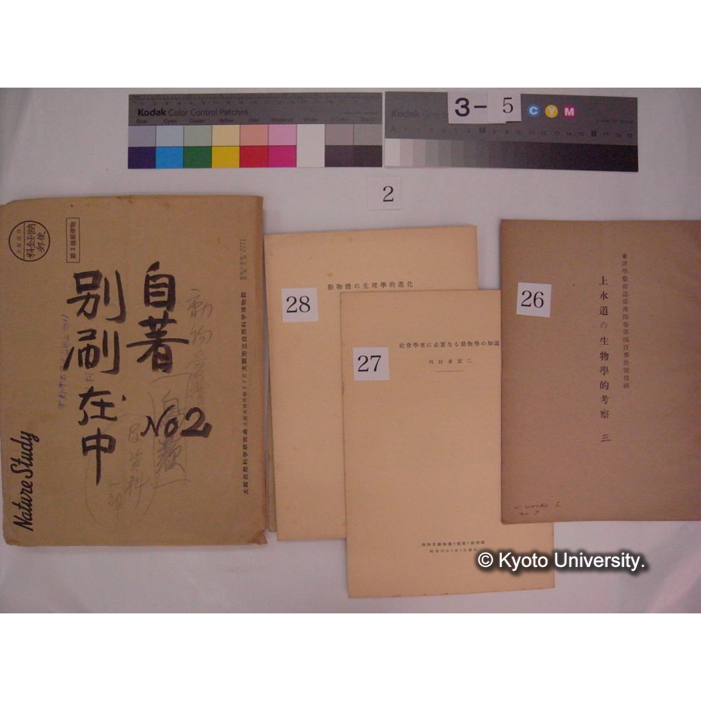 別刷・抜刷等 (「自著No.2/別刷在中」) (39)