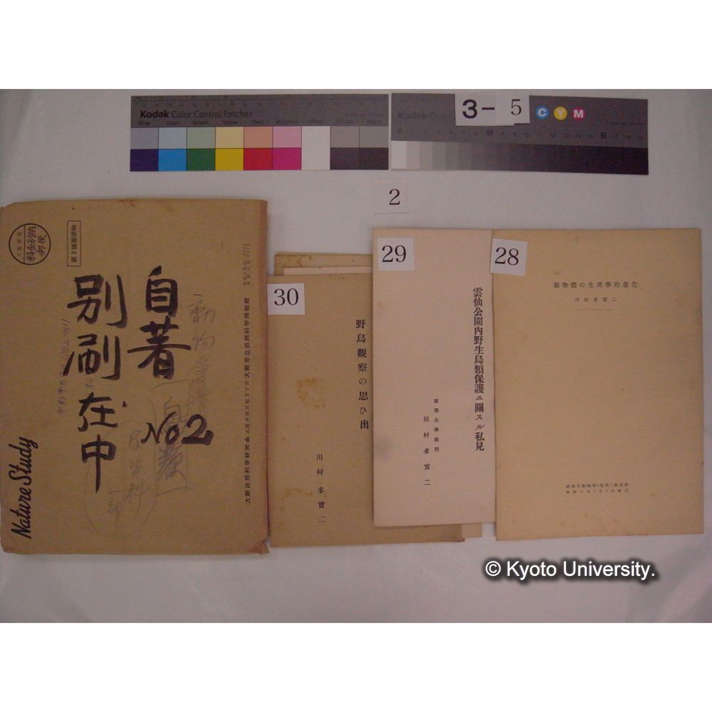 別刷・抜刷等 (「自著No.2/別刷在中」) (40)