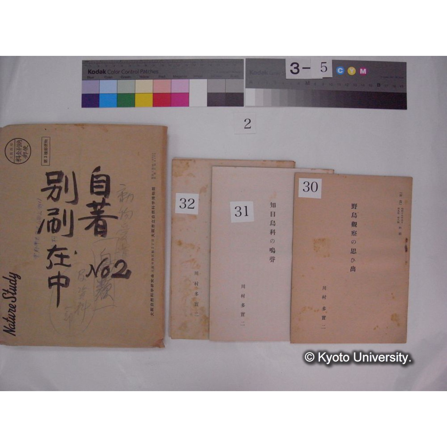 別刷・抜刷等 (「自著No.2/別刷在中」) (41)