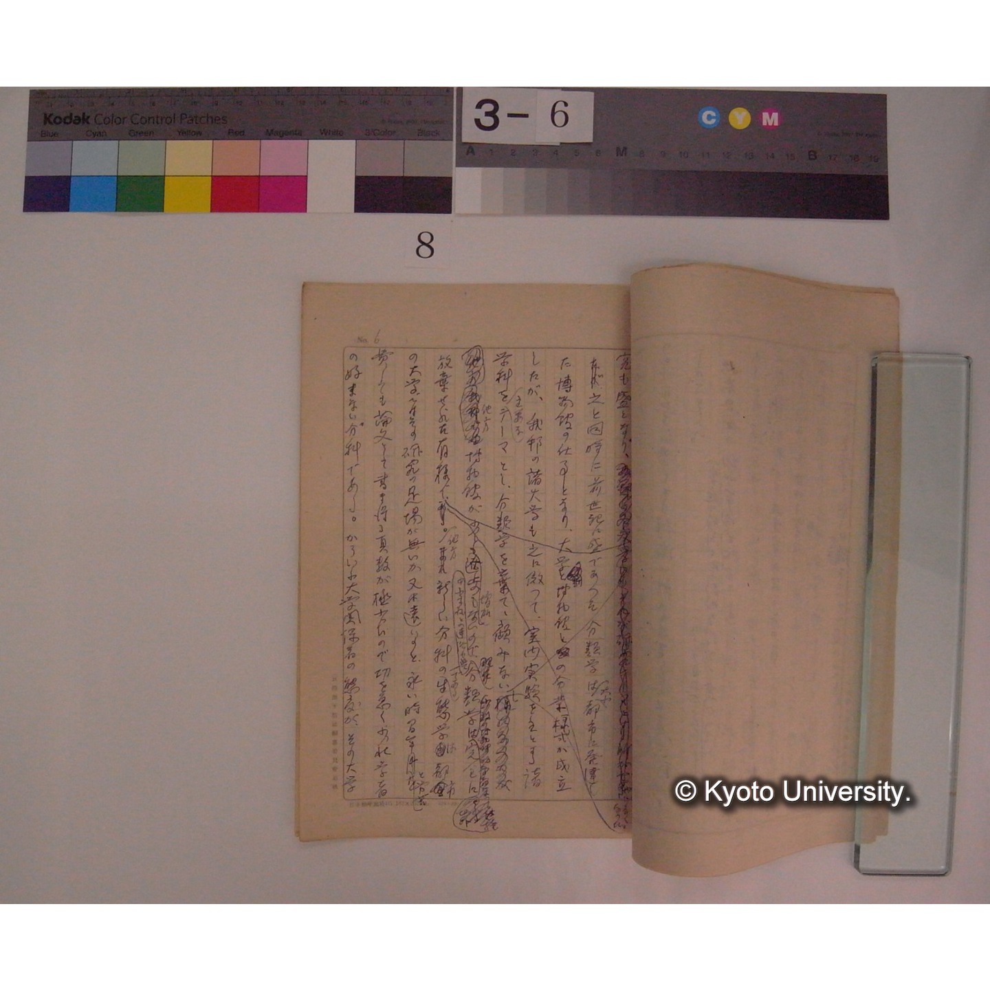 生物学と動物愛護精神 / 川村多實二 [直筆原稿] (2)