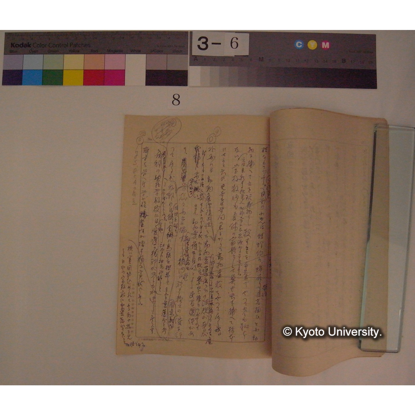 生物学と動物愛護精神 / 川村多實二 [直筆原稿] (3)