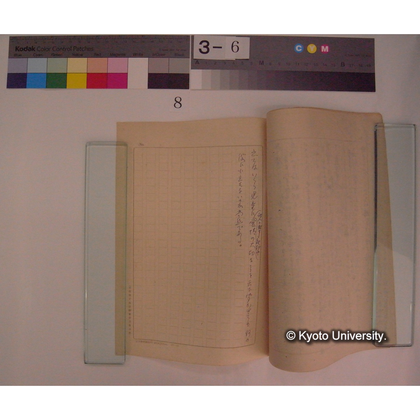 生物学と動物愛護精神 / 川村多實二 [直筆原稿] (4)