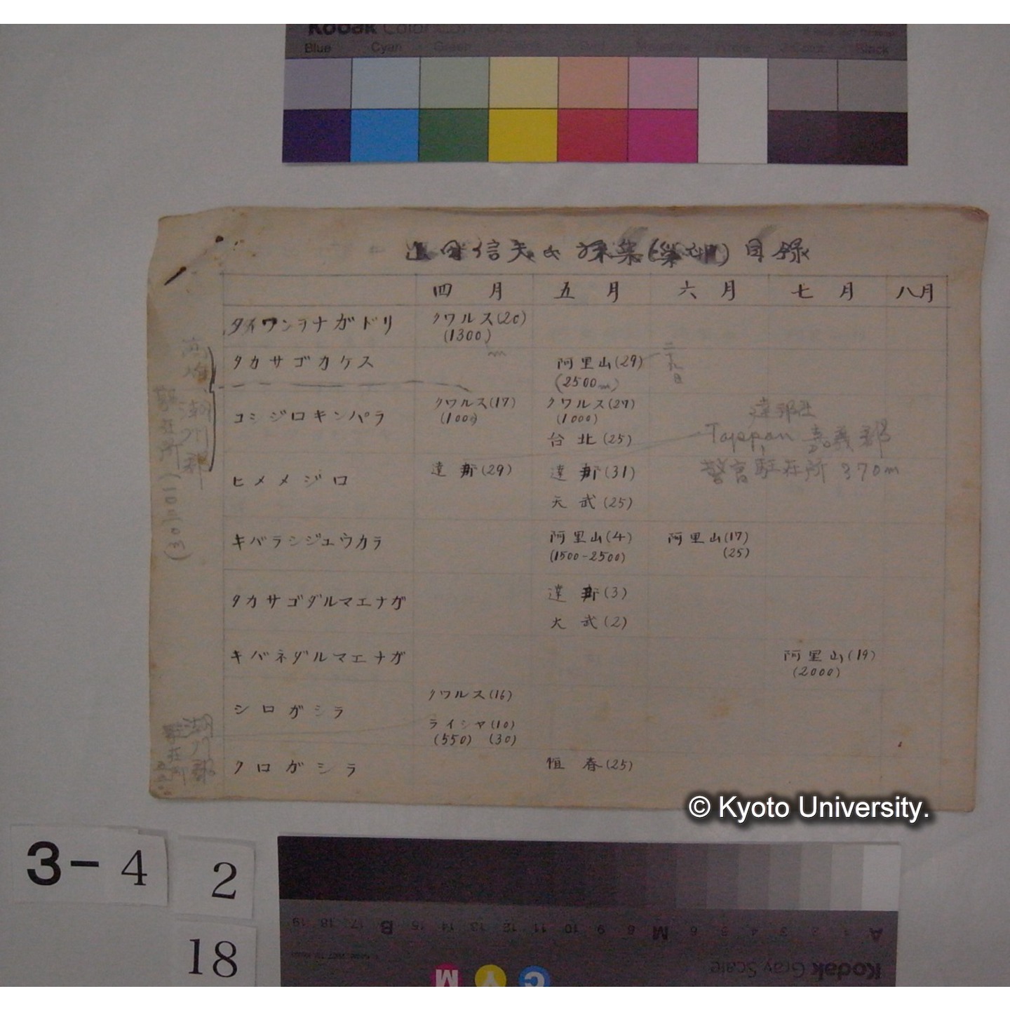 目録 (台湾における鳥の巣卵の調査) / 山田信夫氏採集 (1)