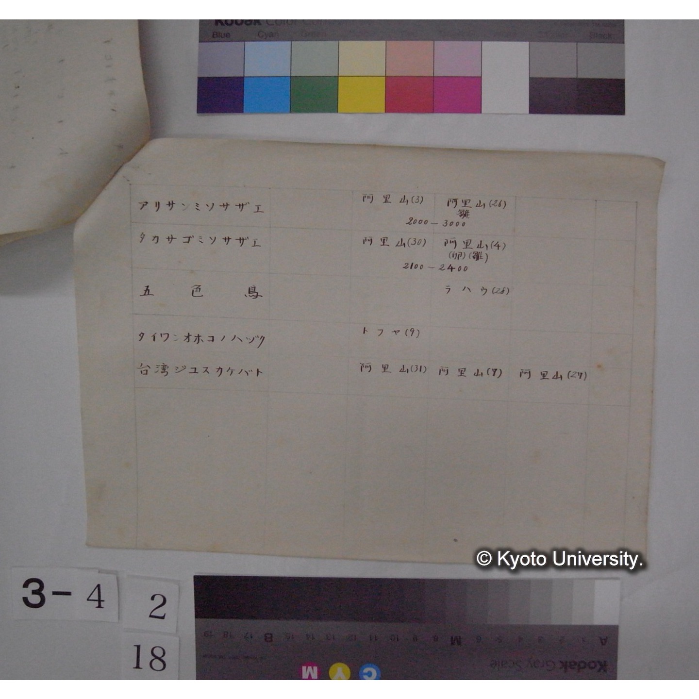 目録 (台湾における鳥の巣卵の調査) / 山田信夫氏採集 (3)