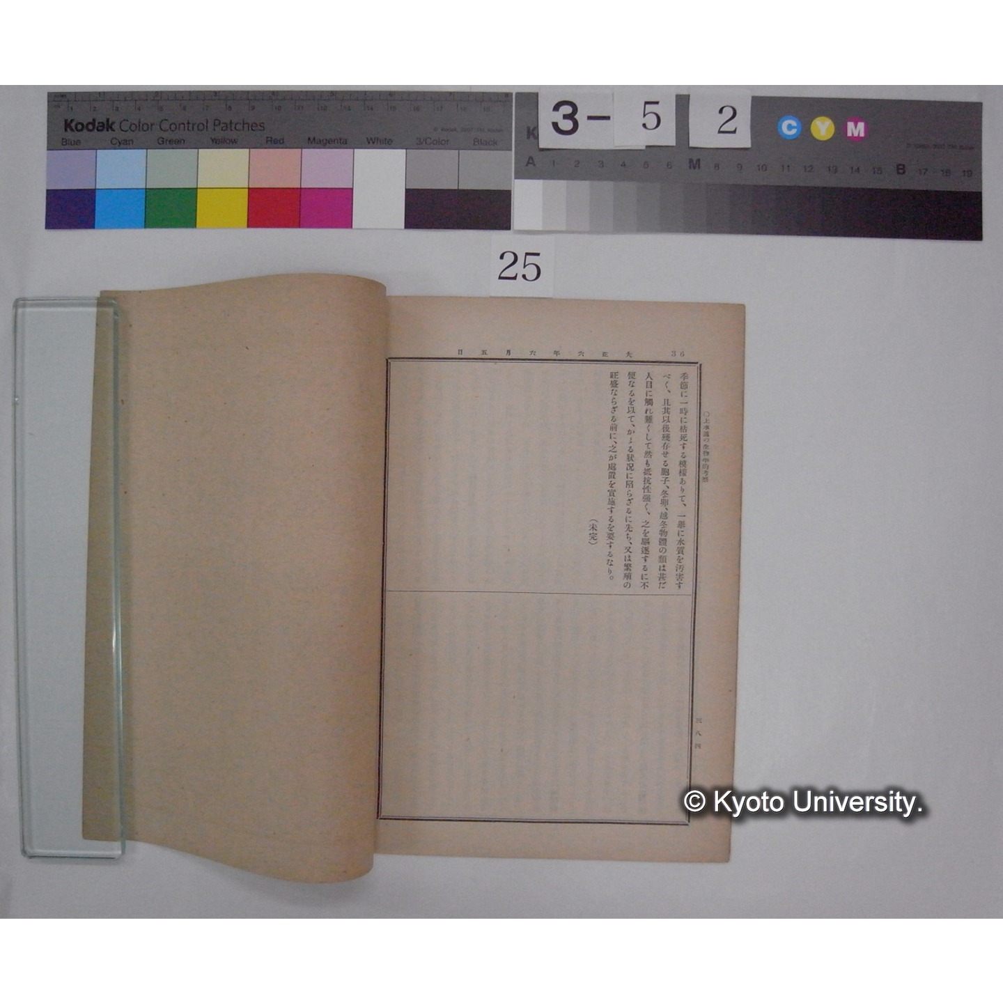 上水道の生物学的考察 2 / 川村多實二 (東洋学芸雑誌; 34巻429号) (3)