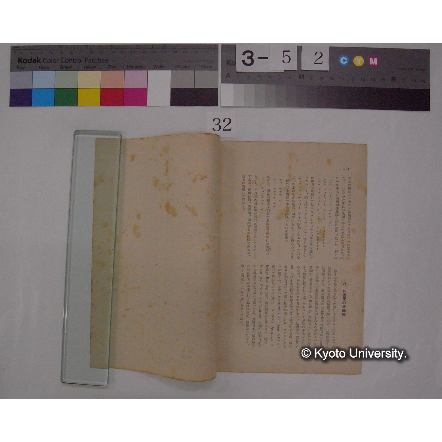 頬白の啼声 / 川村多實二 (野鳥; 7巻5号別刷) (4)