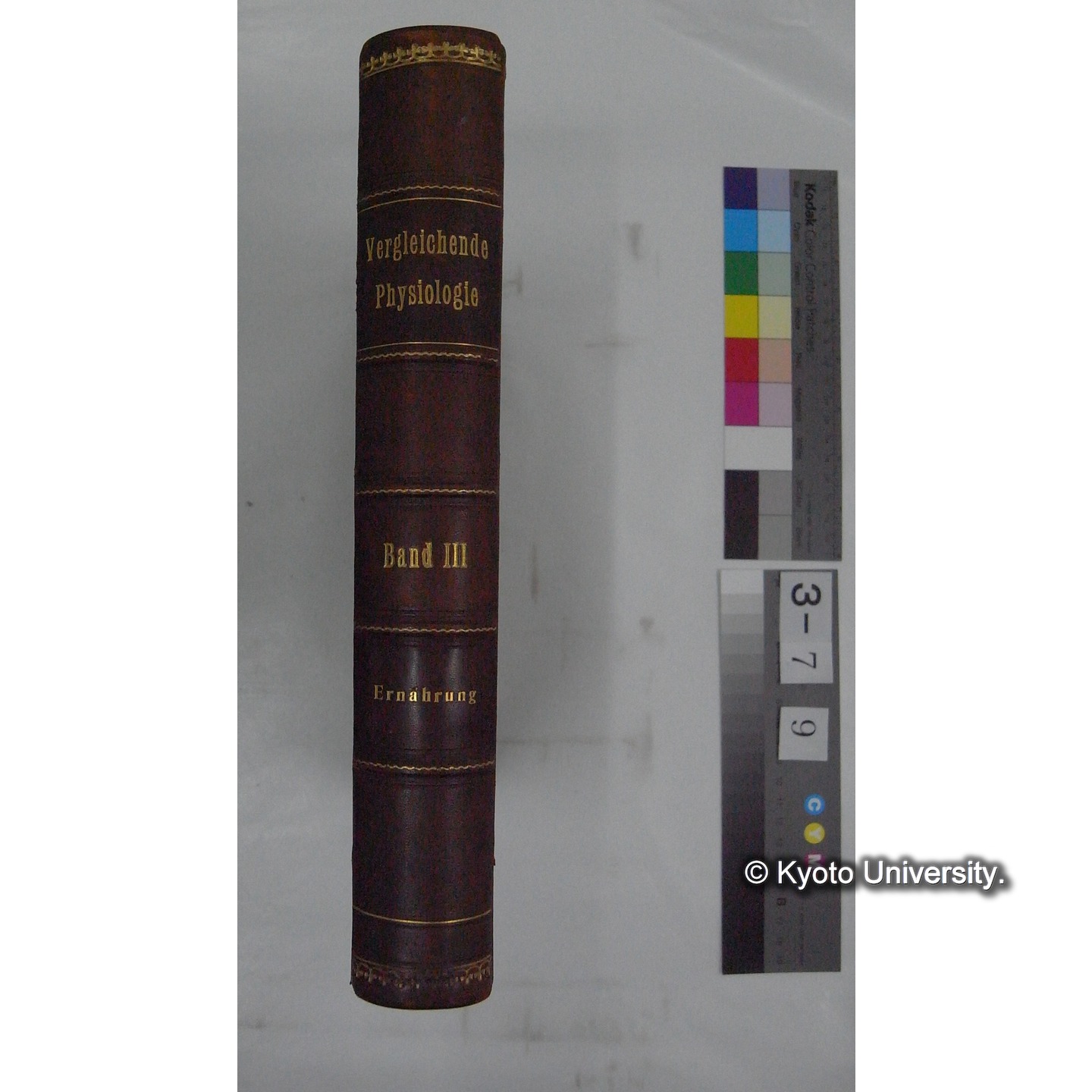 Vergleichende Physiologie (Band3: Ernahrung) (比較生理学 巻3 栄養) [翻訳ノート製本か] (1)