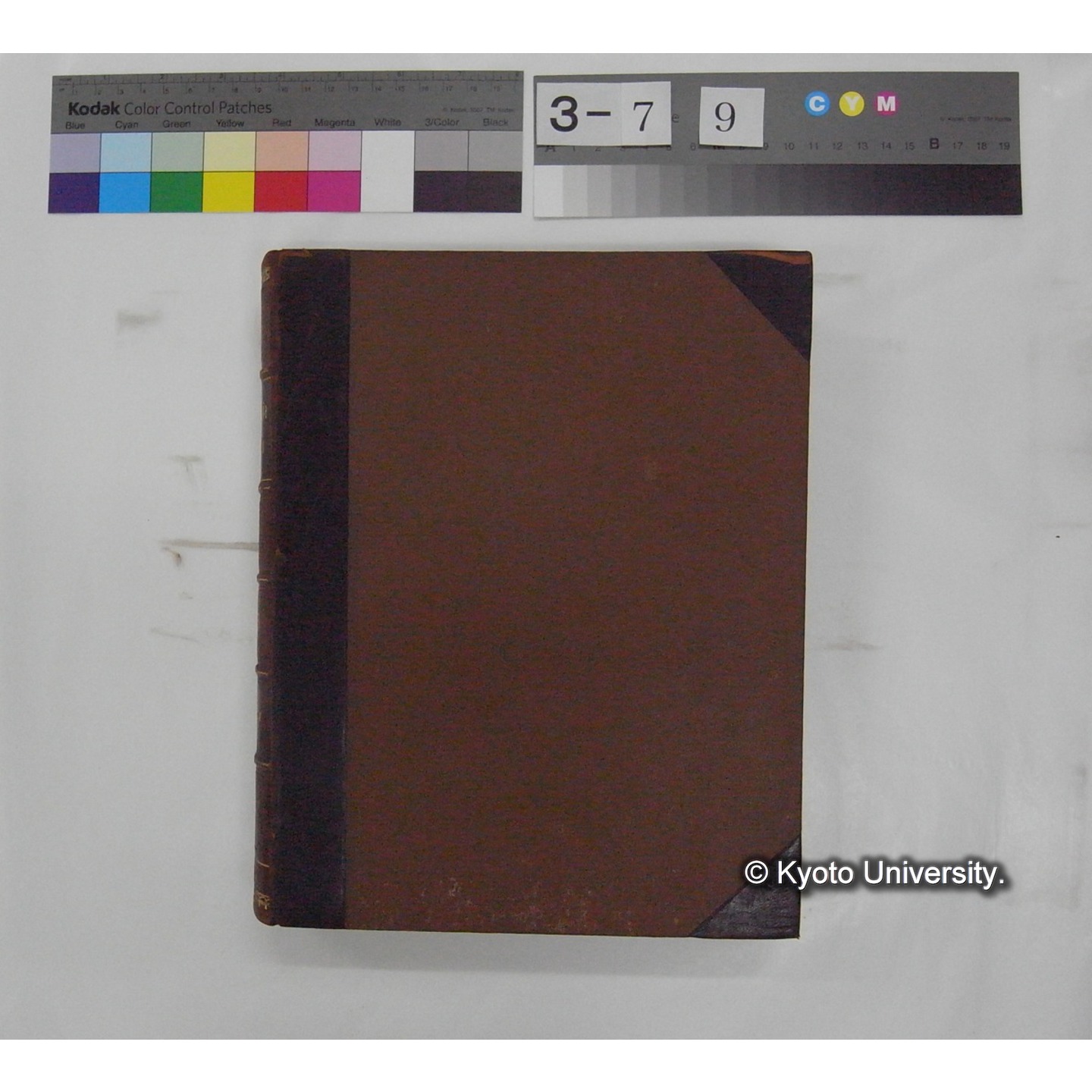 Vergleichende Physiologie (Band3: Ernahrung) (比較生理学 巻3 栄養) [翻訳ノート製本か] (2)