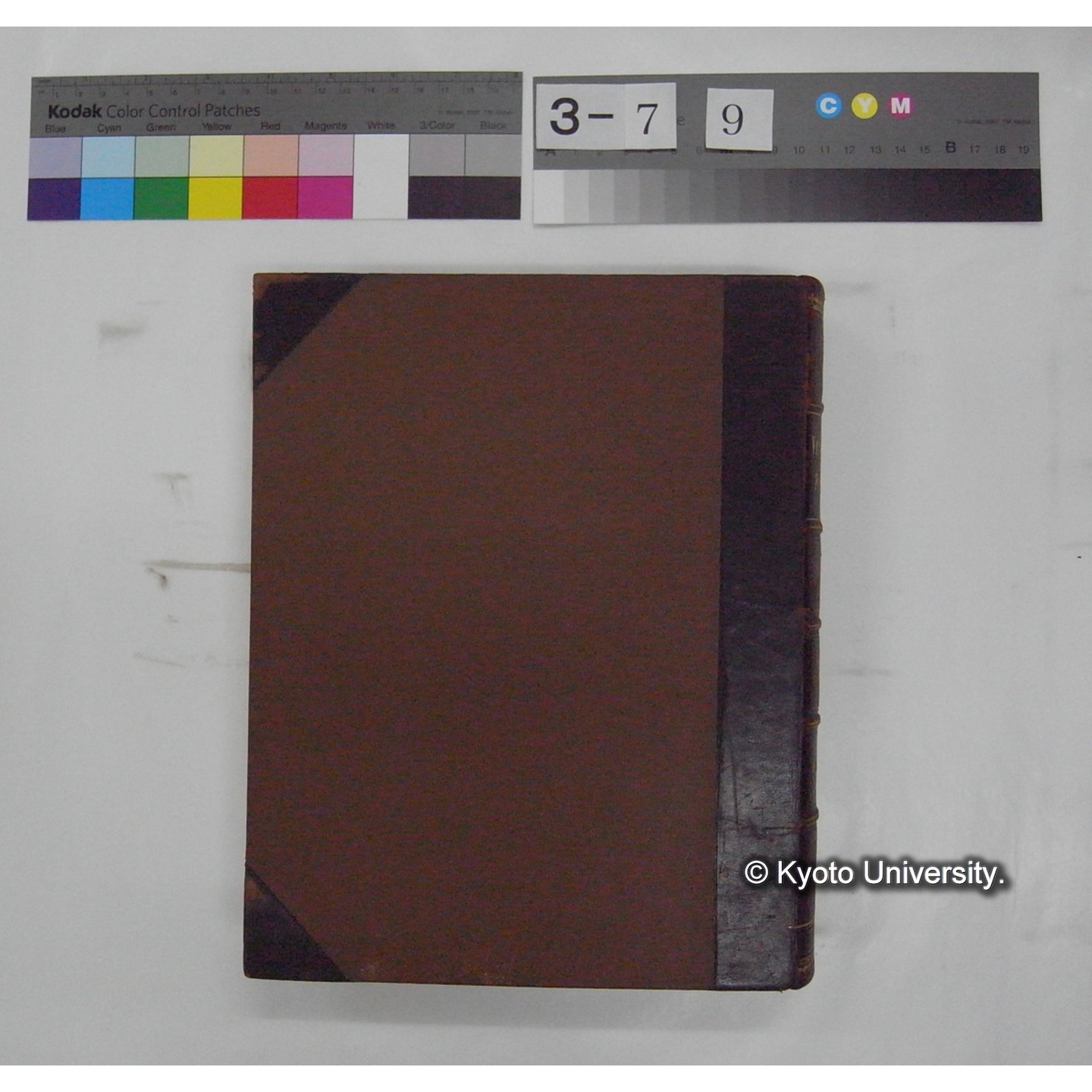 Vergleichende Physiologie (Band3: Ernahrung) (比較生理学 巻3 栄養) [翻訳ノート製本か] (3)