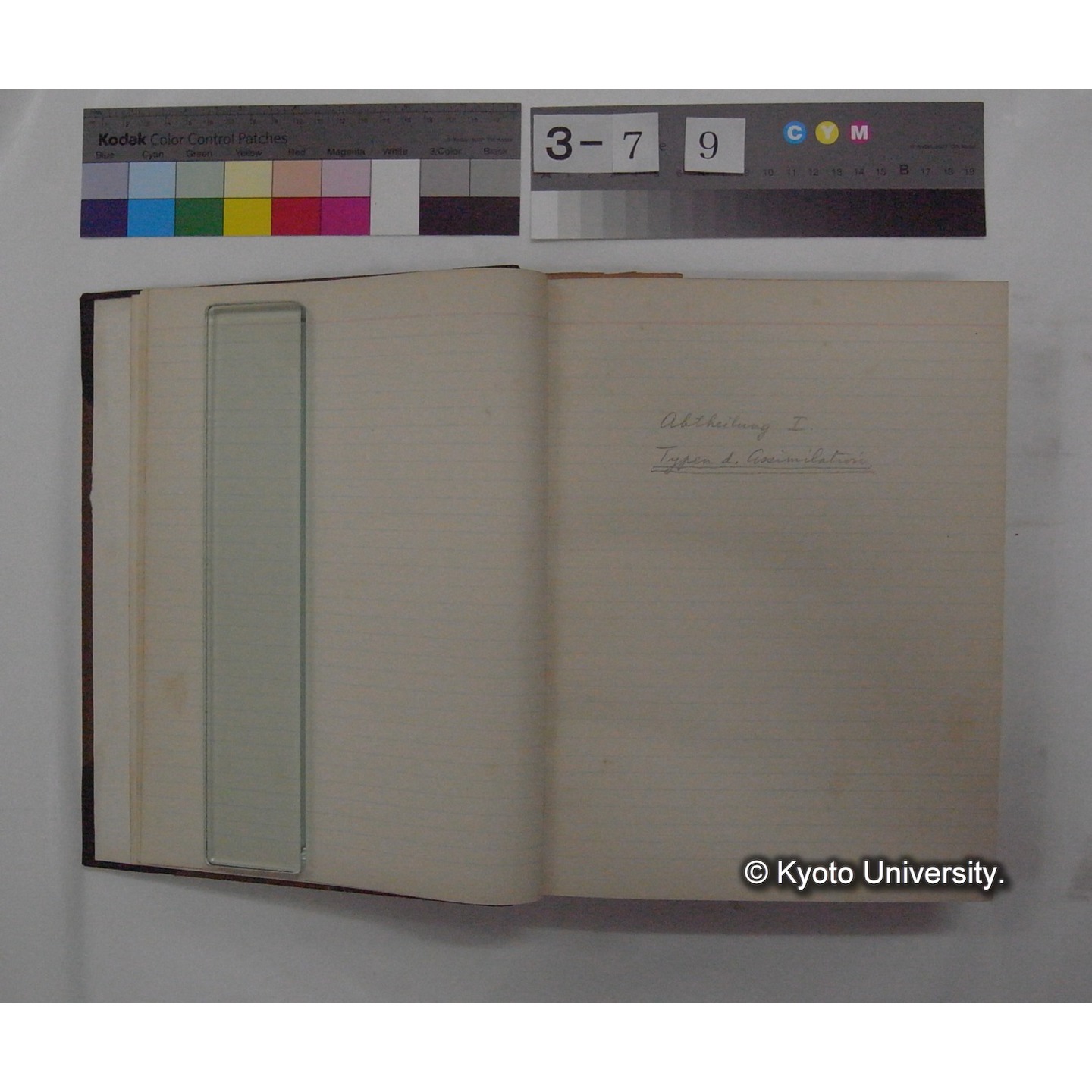 Vergleichende Physiologie (Band3: Ernahrung) (比較生理学 巻3 栄養) [翻訳ノート製本か] (4)