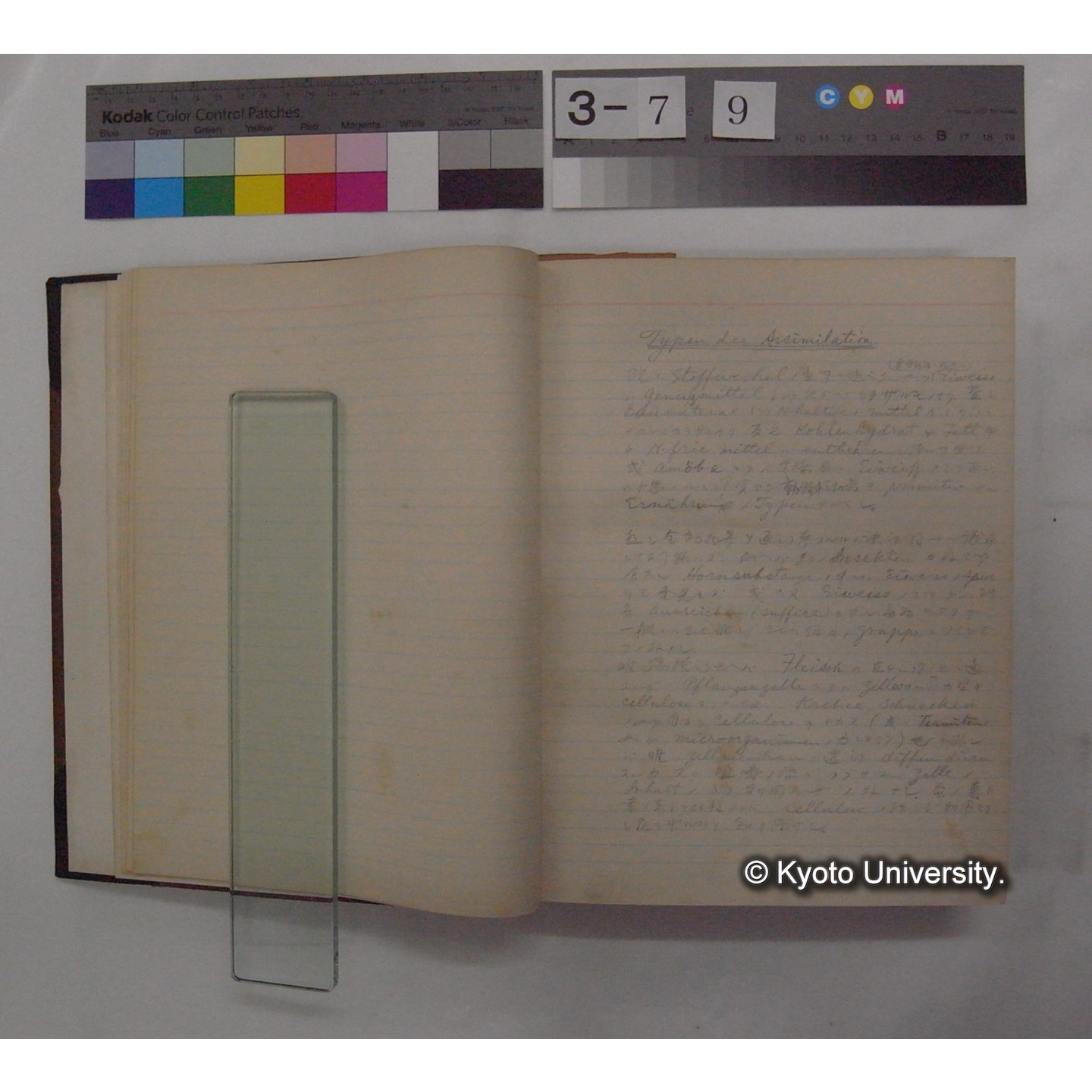 Vergleichende Physiologie (Band3: Ernahrung) (比較生理学 巻3 栄養) [翻訳ノート製本か] (5)