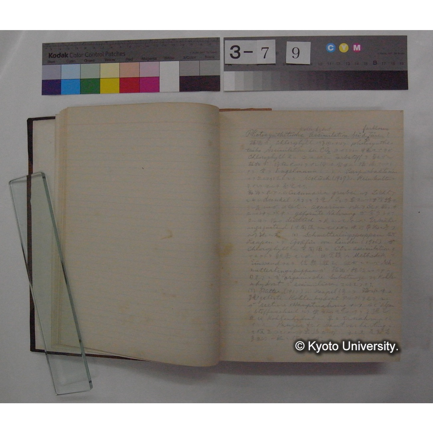 Vergleichende Physiologie (Band3: Ernahrung) (比較生理学 巻3 栄養) [翻訳ノート製本か] (7)