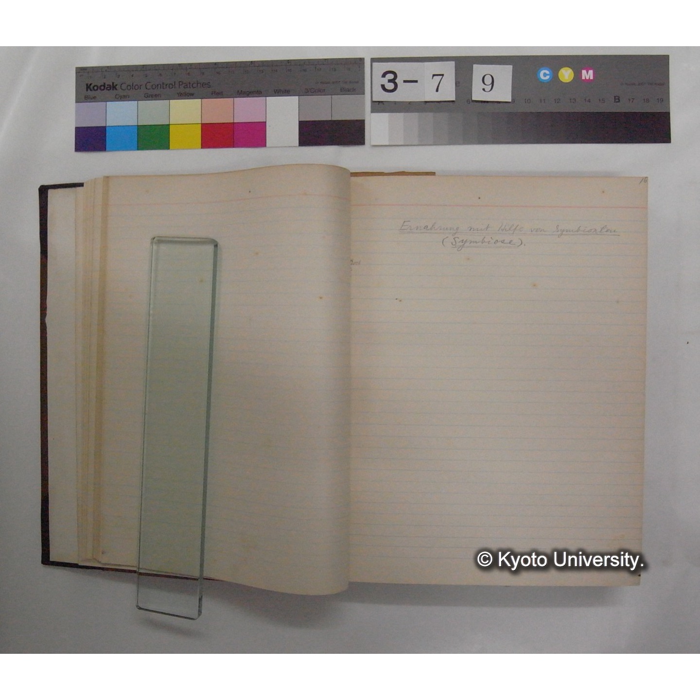 Vergleichende Physiologie (Band3: Ernahrung) (比較生理学 巻3 栄養) [翻訳ノート製本か] (8)