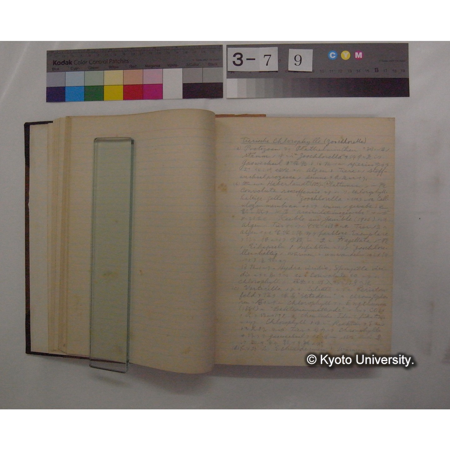 Vergleichende Physiologie (Band3: Ernahrung) (比較生理学 巻3 栄養) [翻訳ノート製本か] (9)