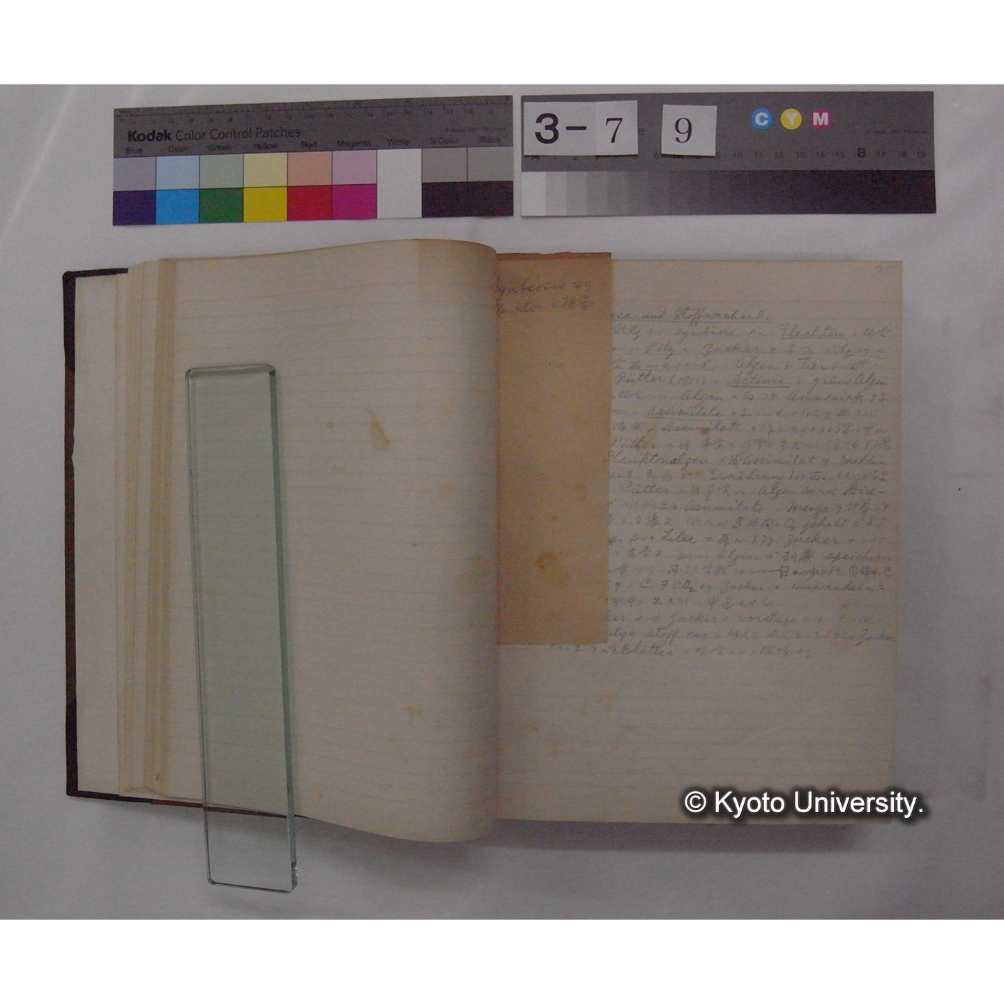 Vergleichende Physiologie (Band3: Ernahrung) (比較生理学 巻3 栄養) [翻訳ノート製本か] (10)