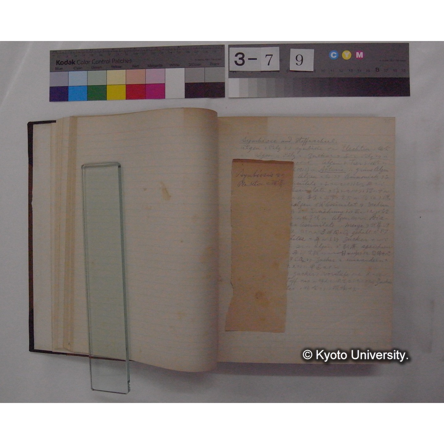 Vergleichende Physiologie (Band3: Ernahrung) (比較生理学 巻3 栄養) [翻訳ノート製本か] (11)