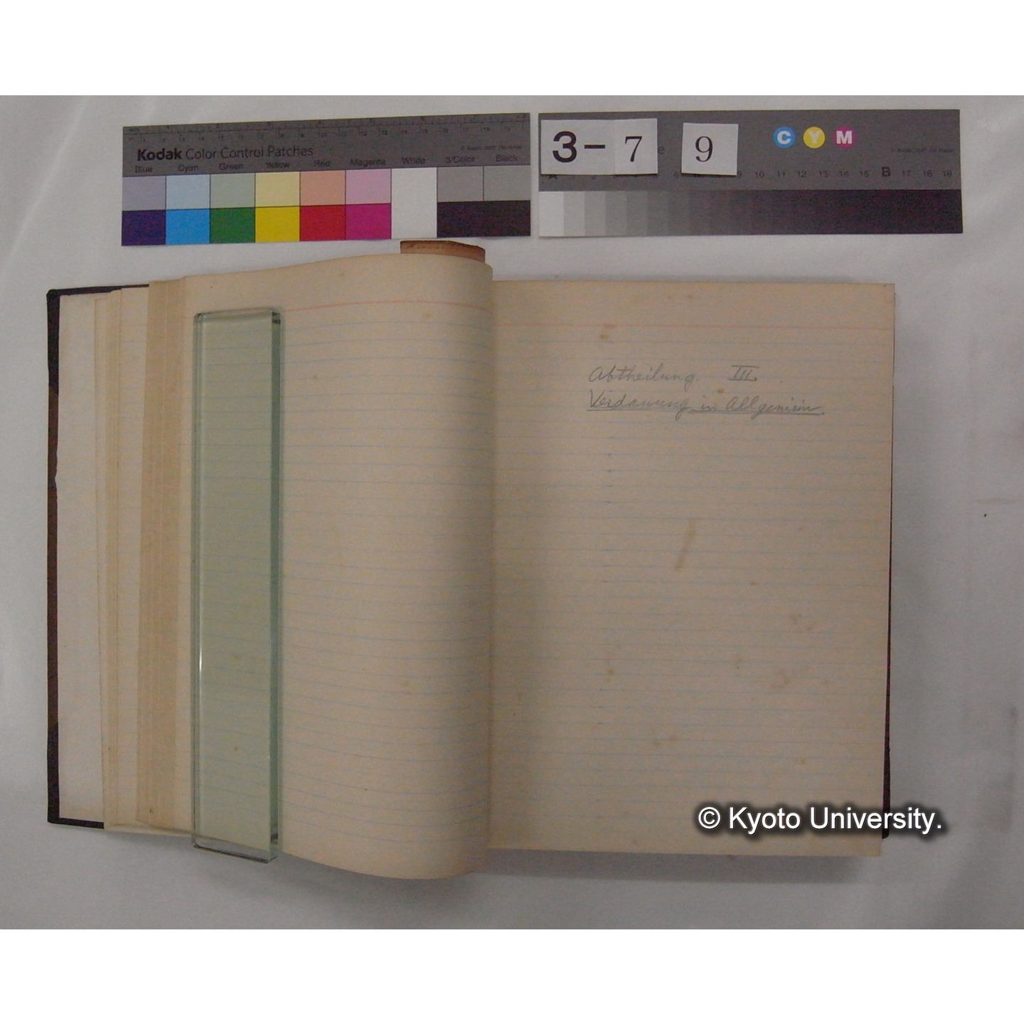 Vergleichende Physiologie (Band3: Ernahrung) (比較生理学 巻3 栄養) [翻訳ノート製本か] (14)