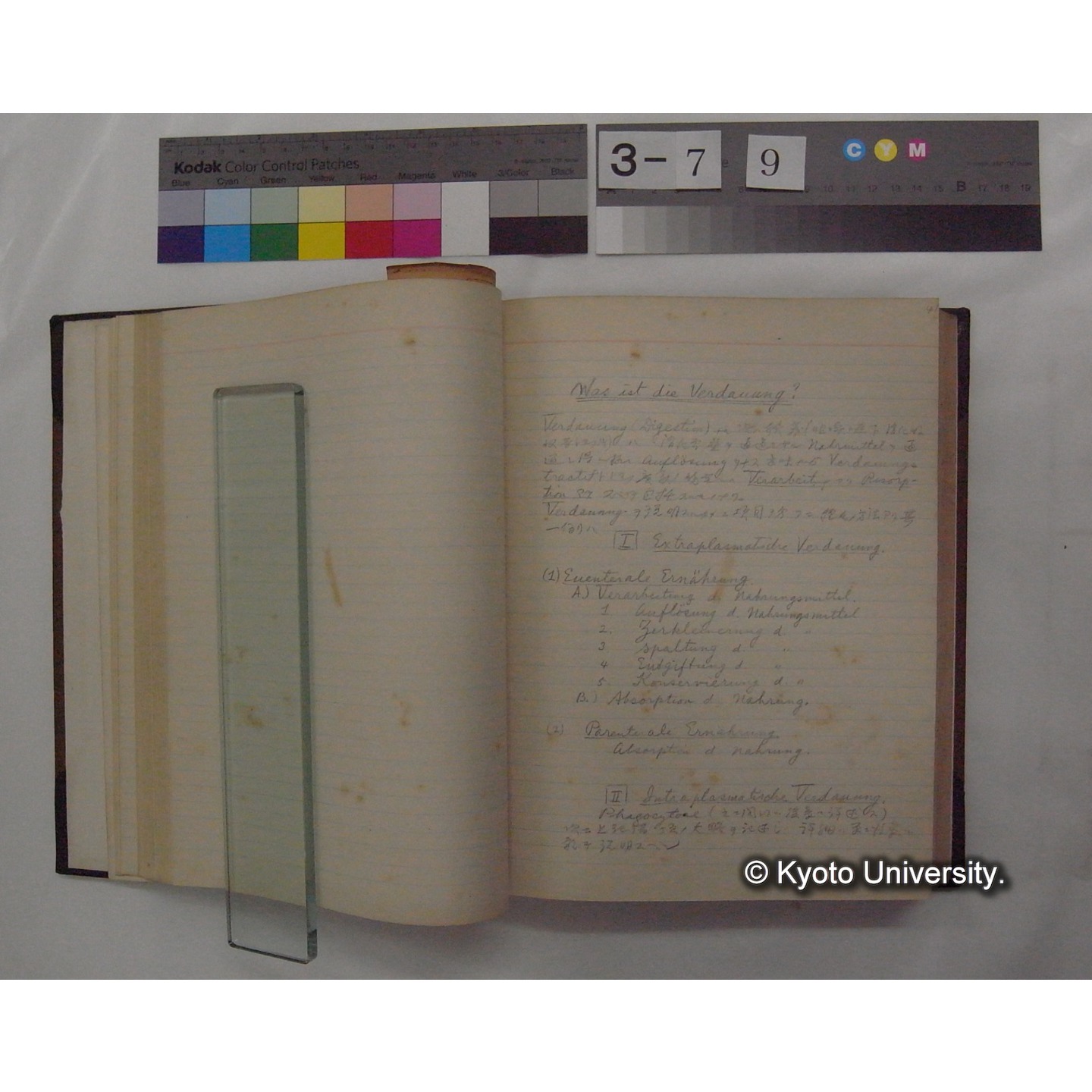 Vergleichende Physiologie (Band3: Ernahrung) (比較生理学 巻3 栄養) [翻訳ノート製本か] (15)