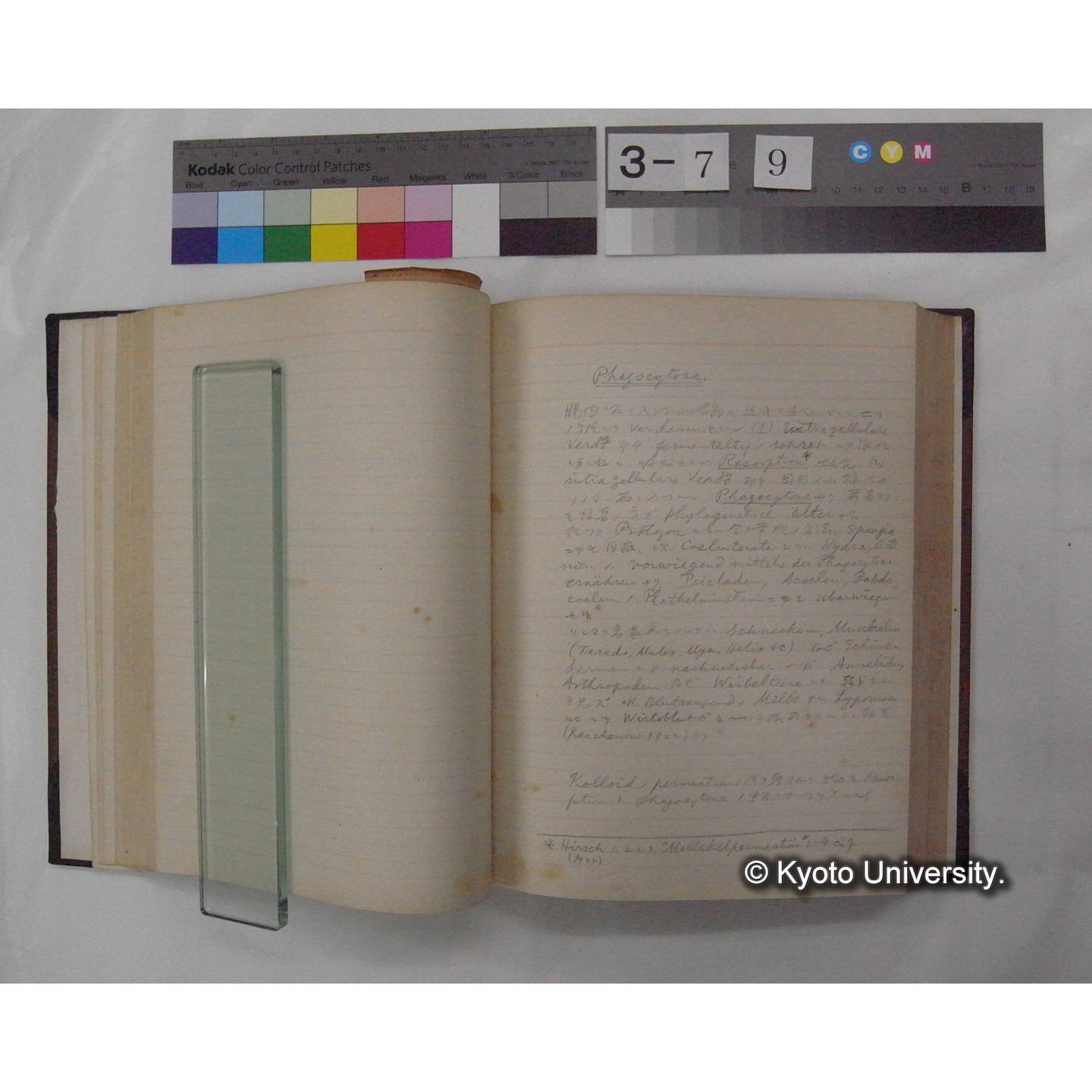 Vergleichende Physiologie (Band3: Ernahrung) (比較生理学 巻3 栄養) [翻訳ノート製本か] (16)