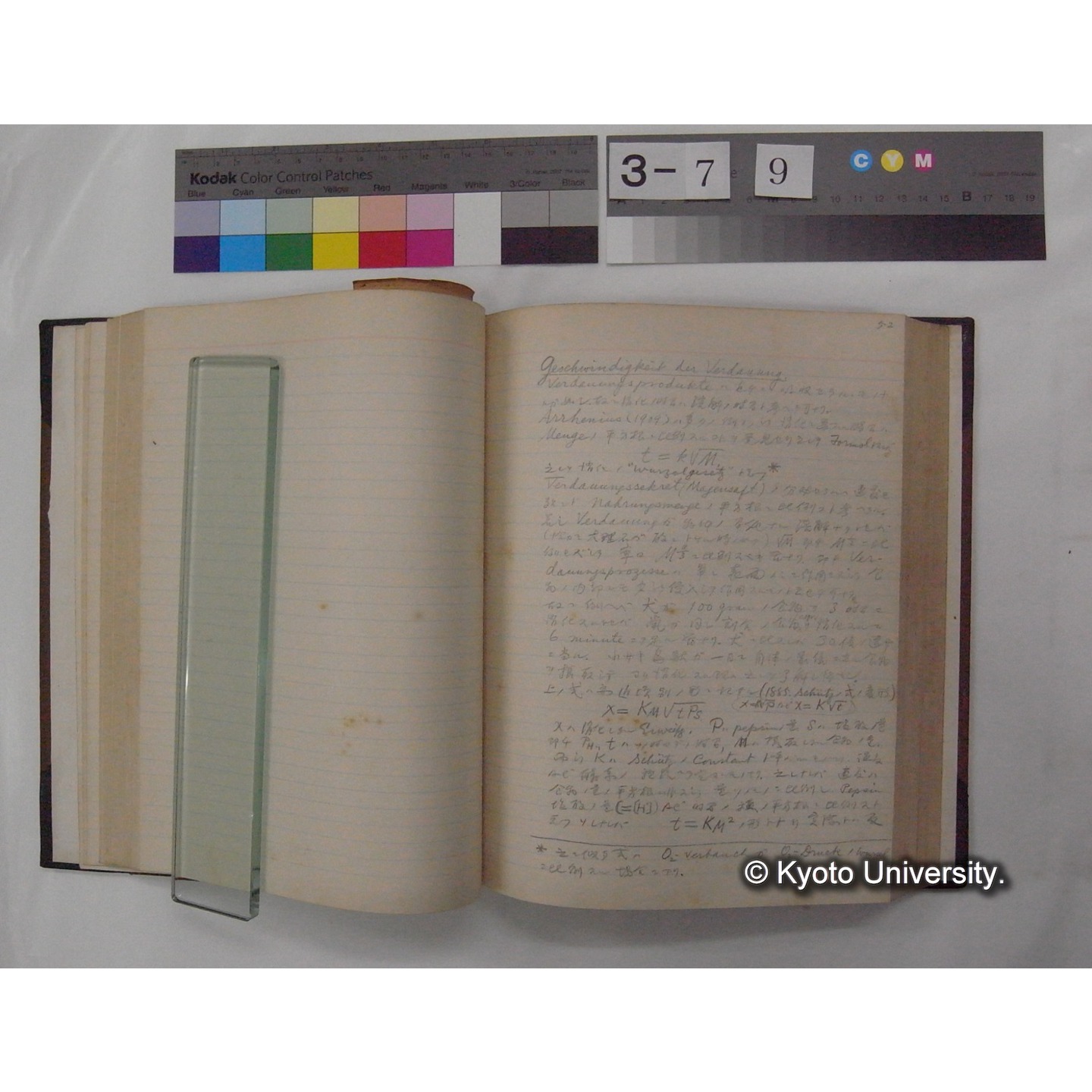 Vergleichende Physiologie (Band3: Ernahrung) (比較生理学 巻3 栄養) [翻訳ノート製本か] (18)