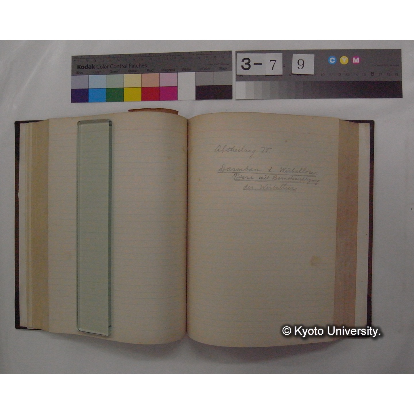 Vergleichende Physiologie (Band3: Ernahrung) (比較生理学 巻3 栄養) [翻訳ノート製本か] (19)