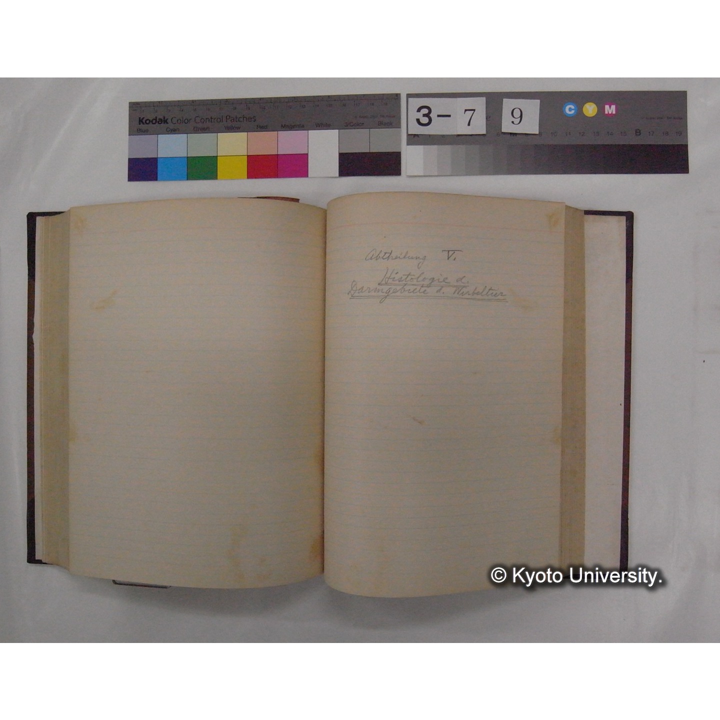 Vergleichende Physiologie (Band3: Ernahrung) (比較生理学 巻3 栄養) [翻訳ノート製本か] (23)