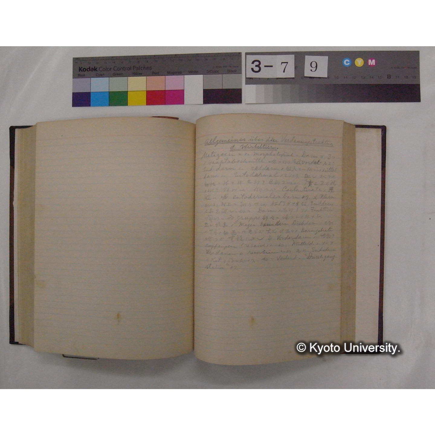 Vergleichende Physiologie (Band3: Ernahrung) (比較生理学 巻3 栄養) [翻訳ノート製本か] (24)