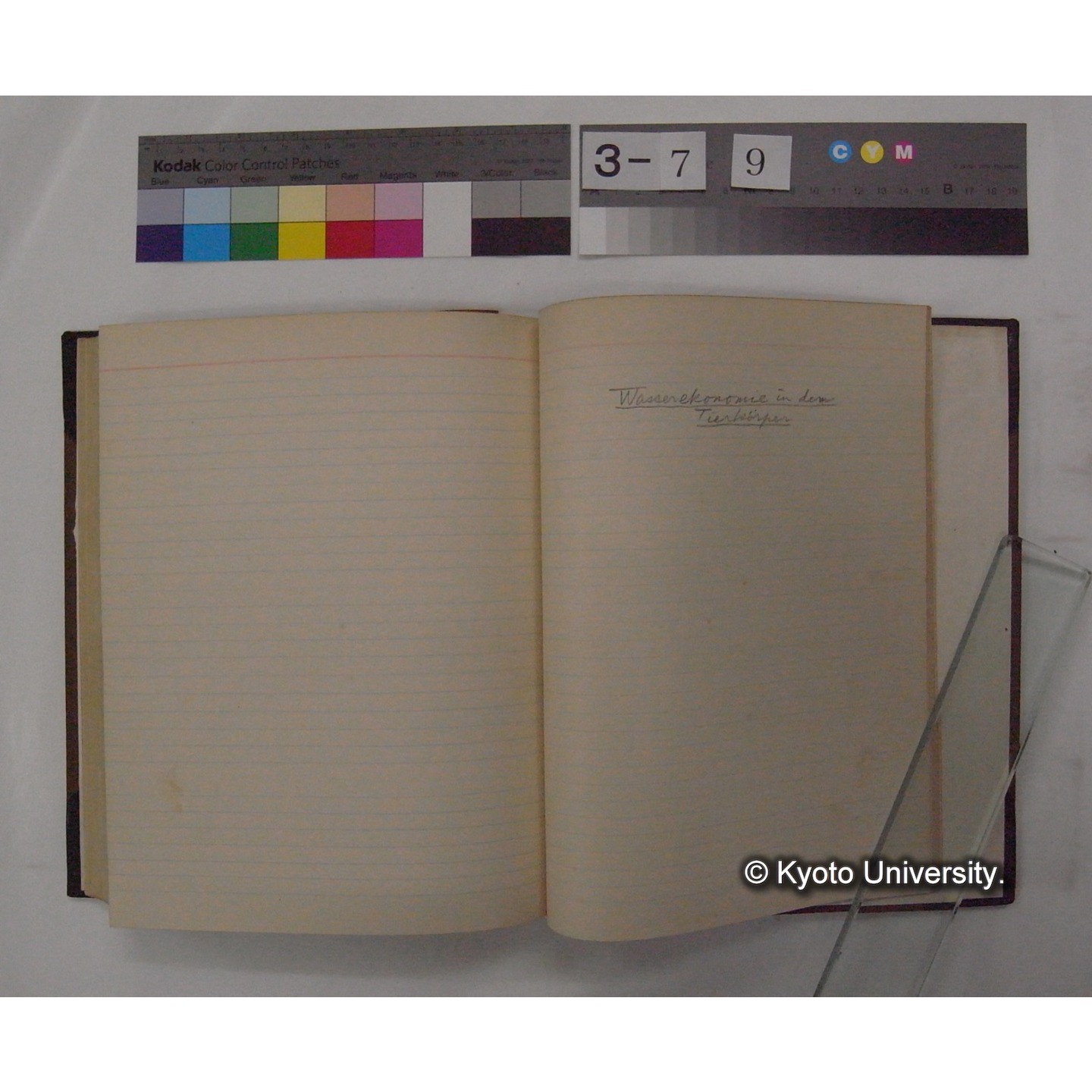 Vergleichende Physiologie (Band3: Ernahrung) (比較生理学 巻3 栄養) [翻訳ノート製本か] (30)