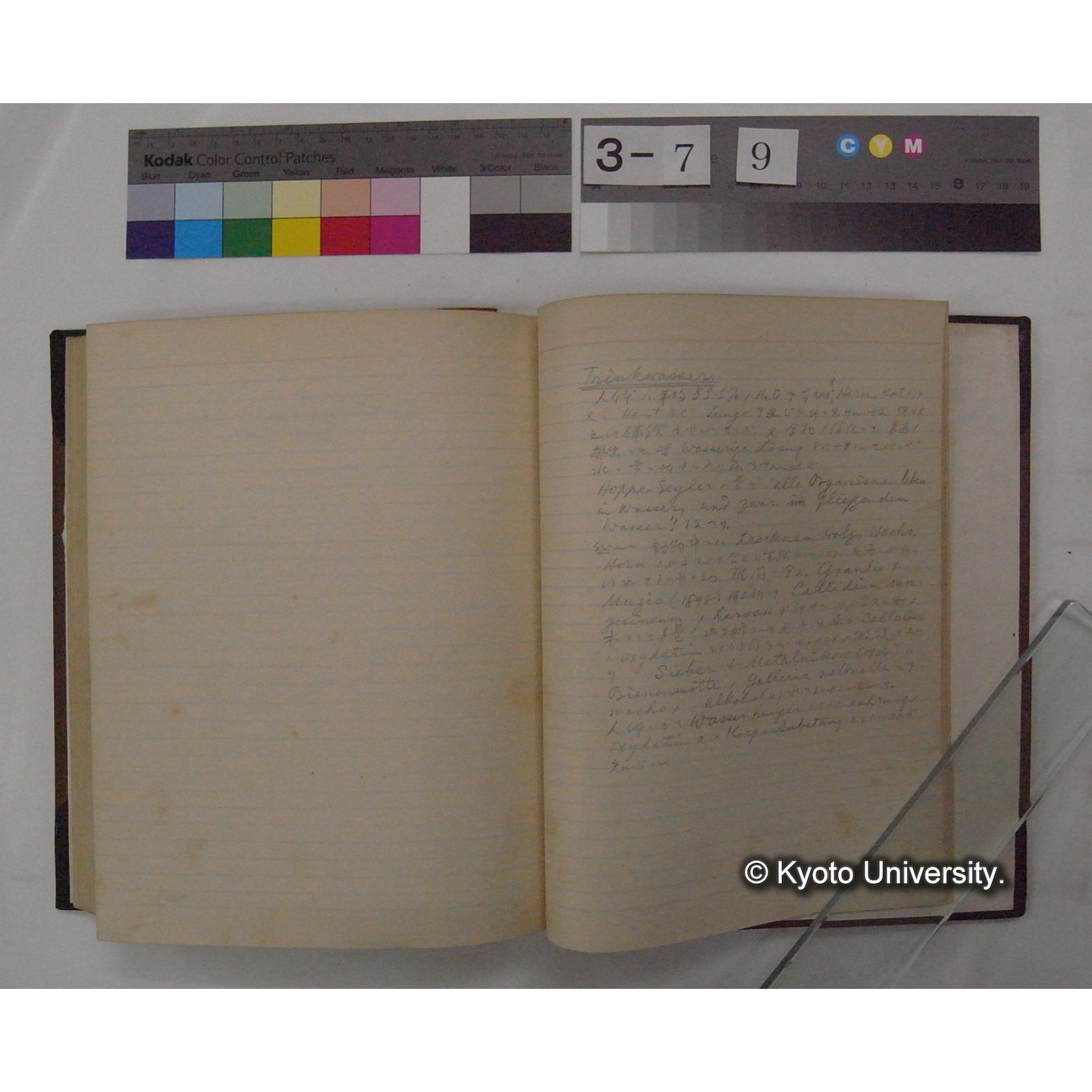 Vergleichende Physiologie (Band3: Ernahrung) (比較生理学 巻3 栄養) [翻訳ノート製本か] (31)