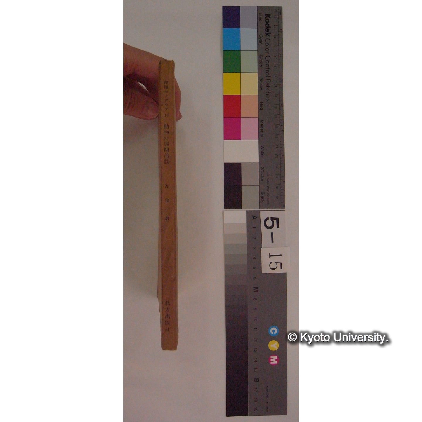 動物の周期活動 / 森主一著 (理学モノグラム; 14) (8)